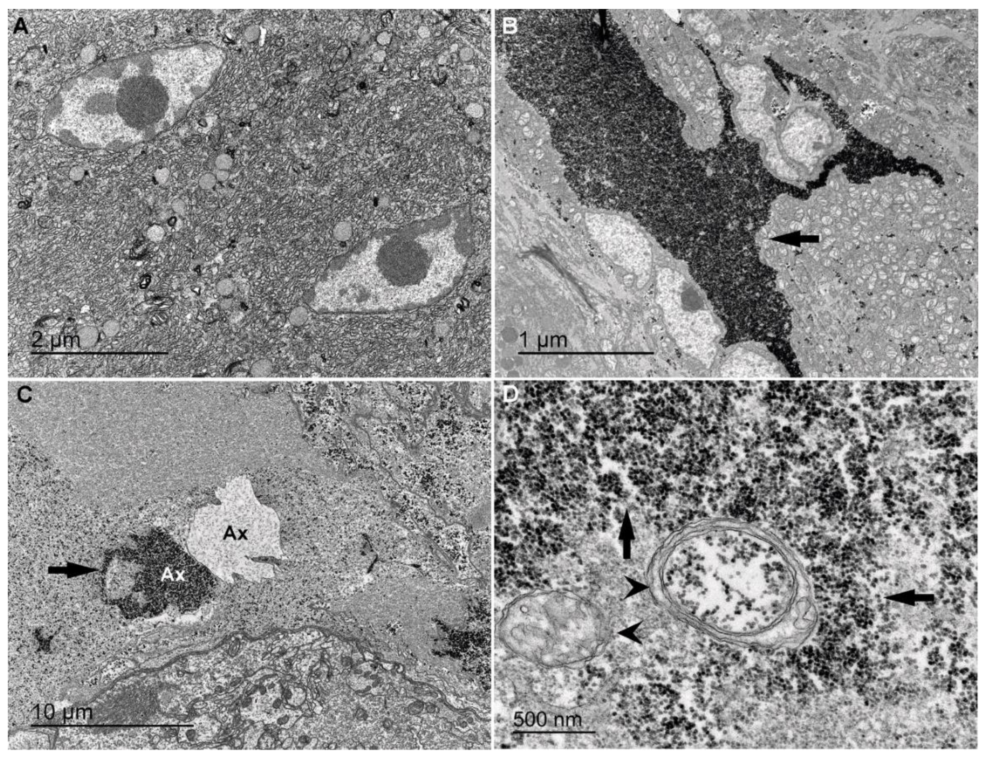 Jmse 09 00765 g018 550