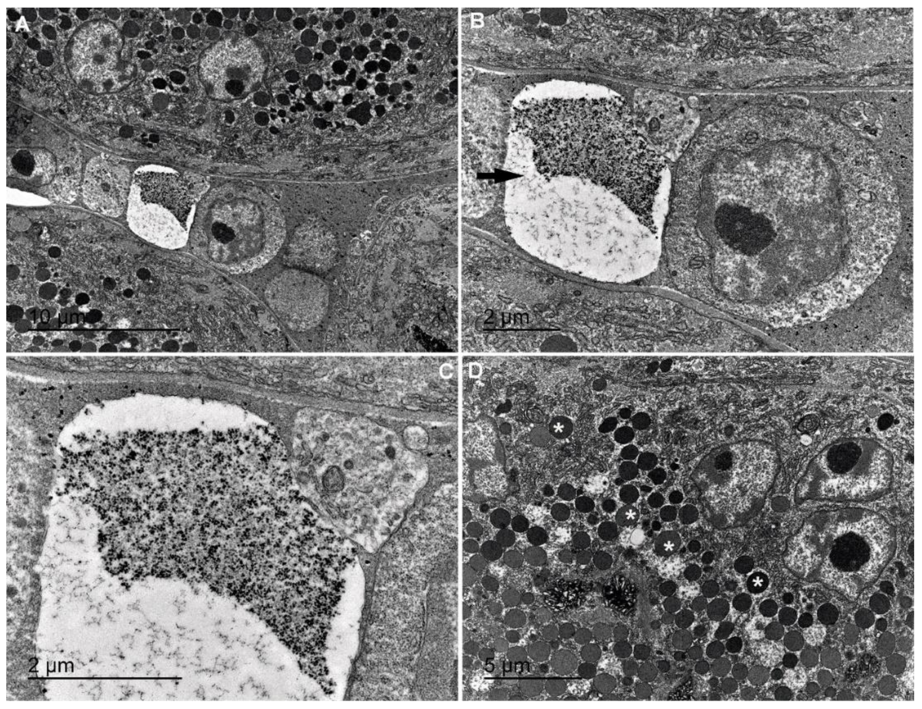 Jmse 09 00765 g019 550