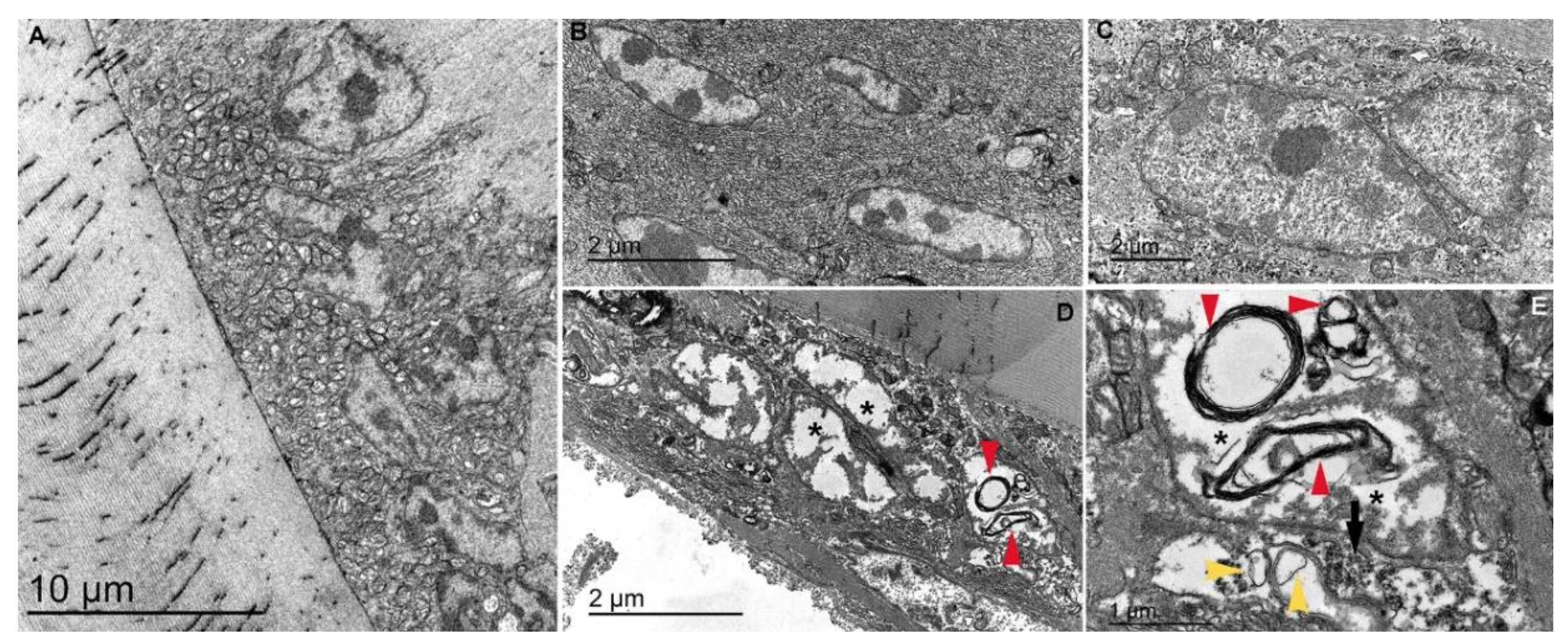 Jmse 09 00765 g020 550