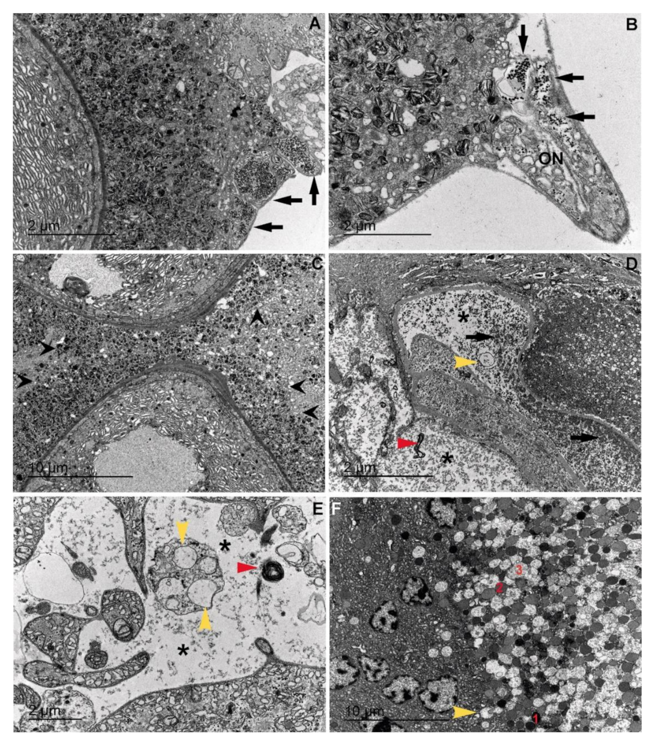 Jmse 09 00765 g021 550