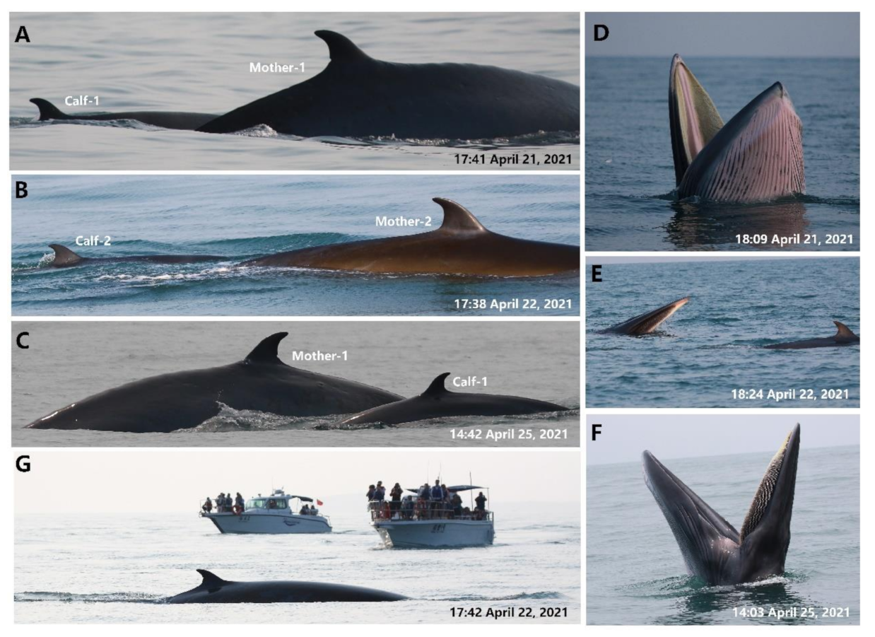 Jmse 09 00796 g002 Jmse 09 00796 g002