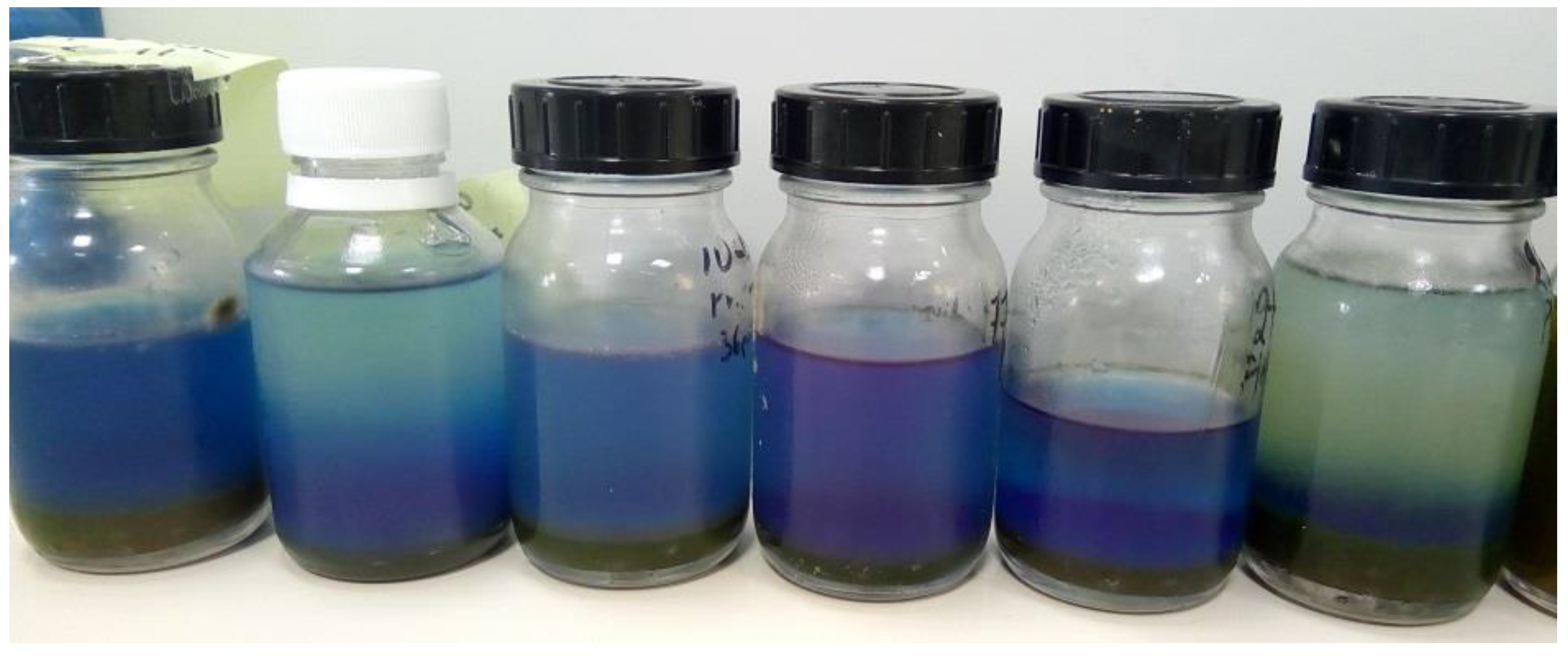 Jmse 09 00798 g002 Jmse 09 00798 g002