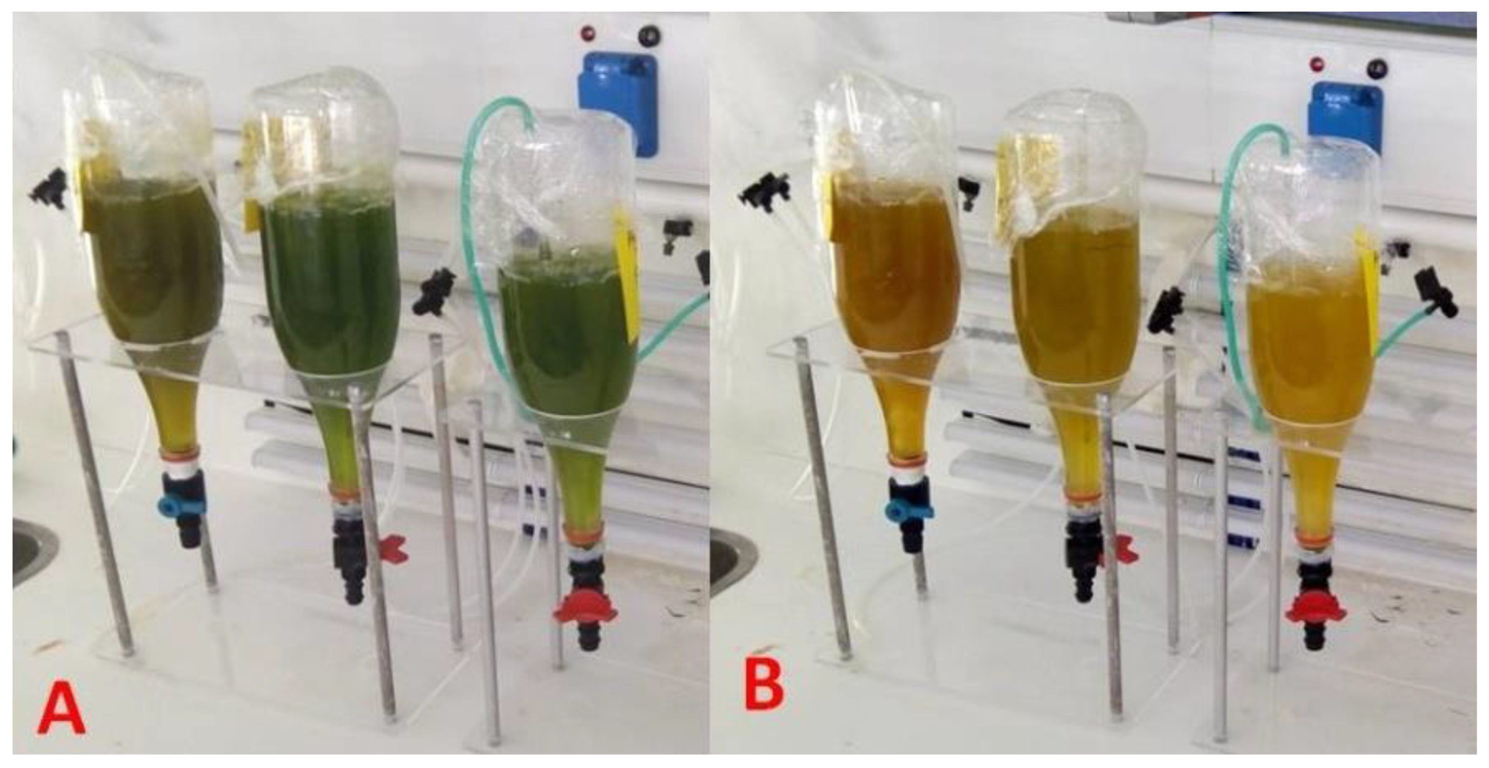 Jmse 09 00798 g003 Jmse 09 00798 g003