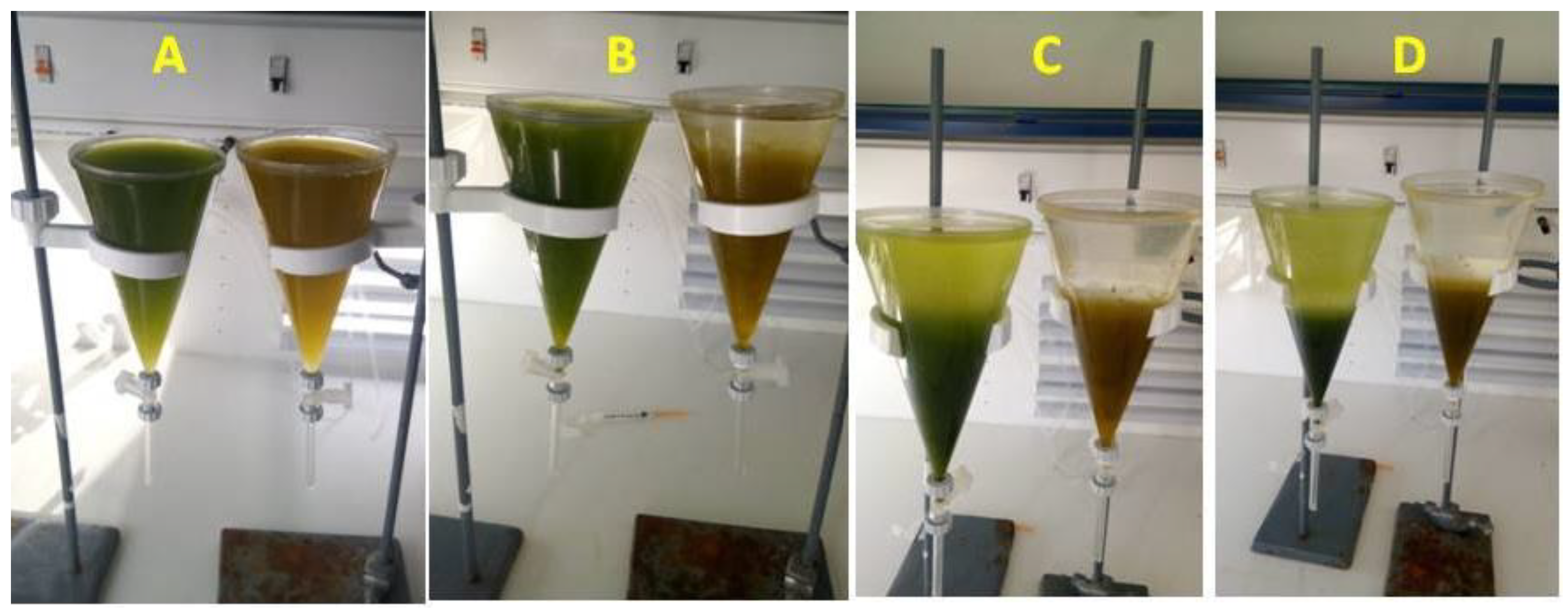 Jmse 09 00798 g004 Jmse 09 00798 g004