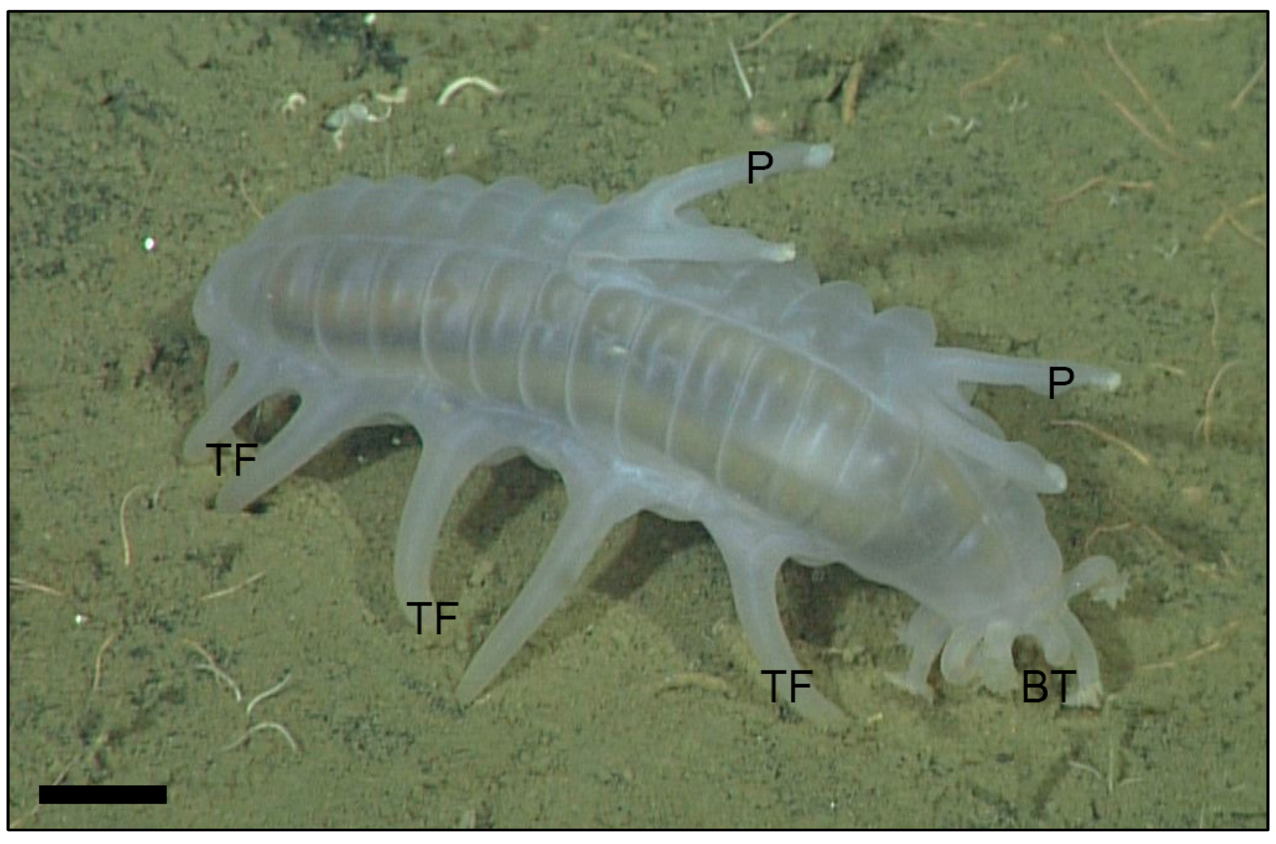 Jmse 09 00848 g001 550