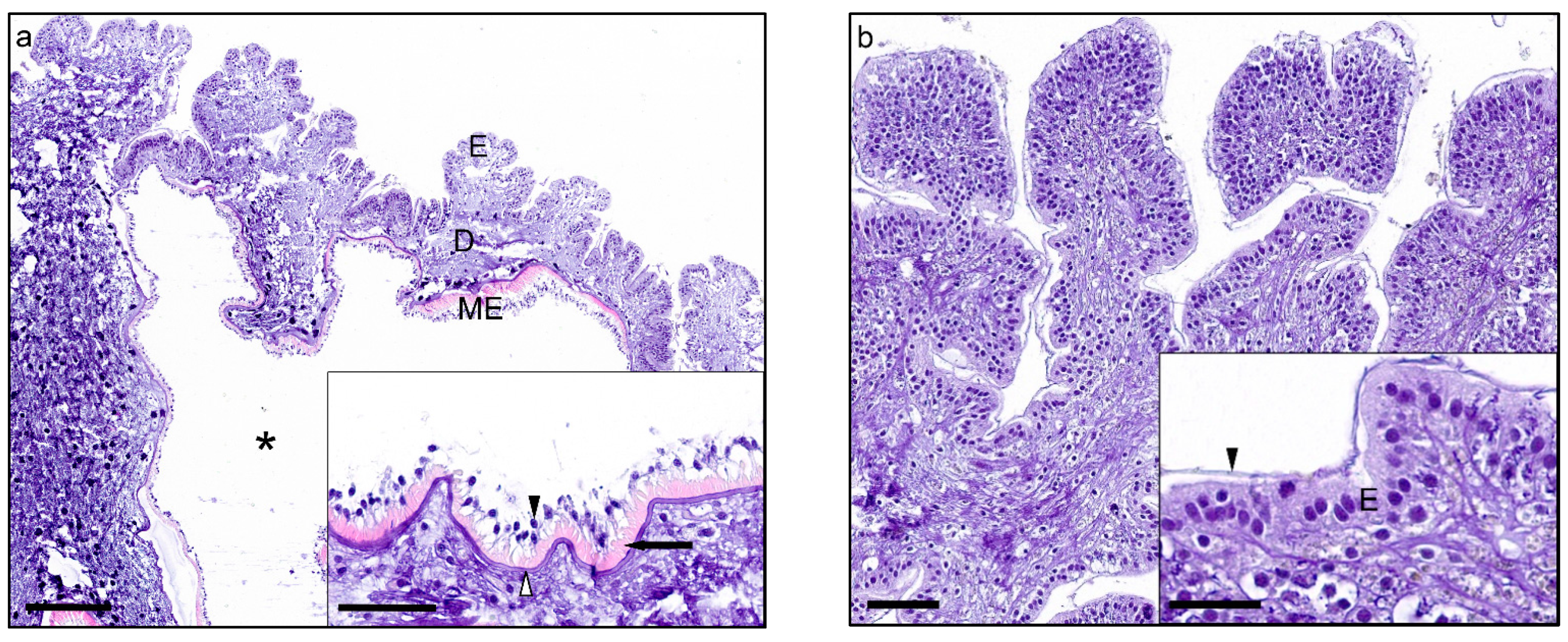 Jmse 09 00848 g002 550