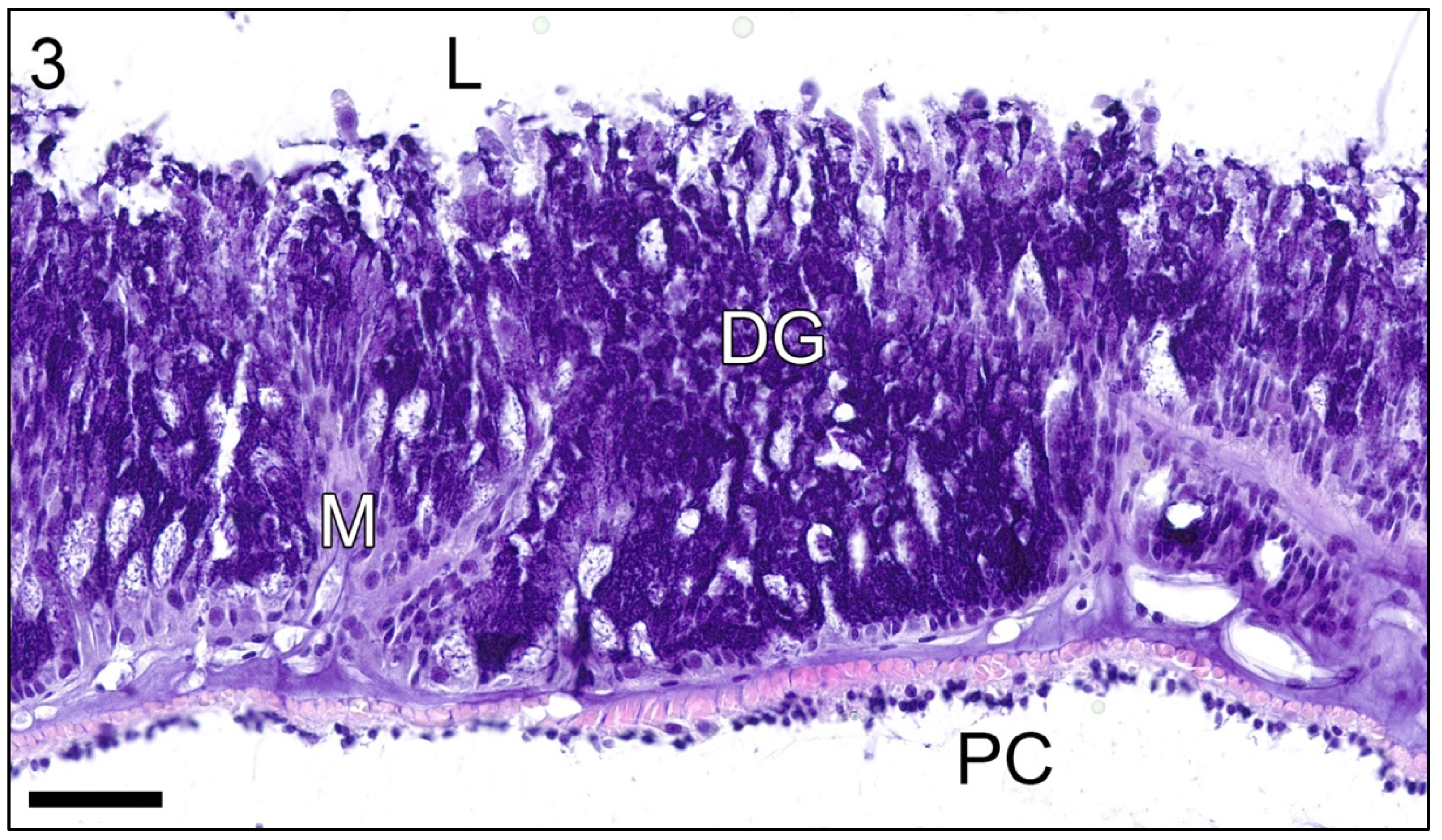 Jmse 09 00848 g003 550