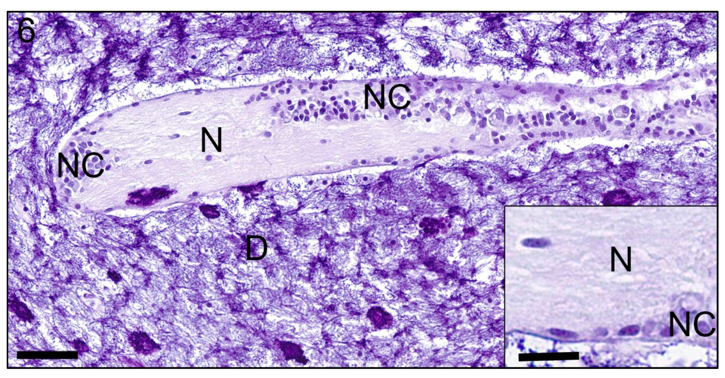 Jmse 09 00848 g006 550