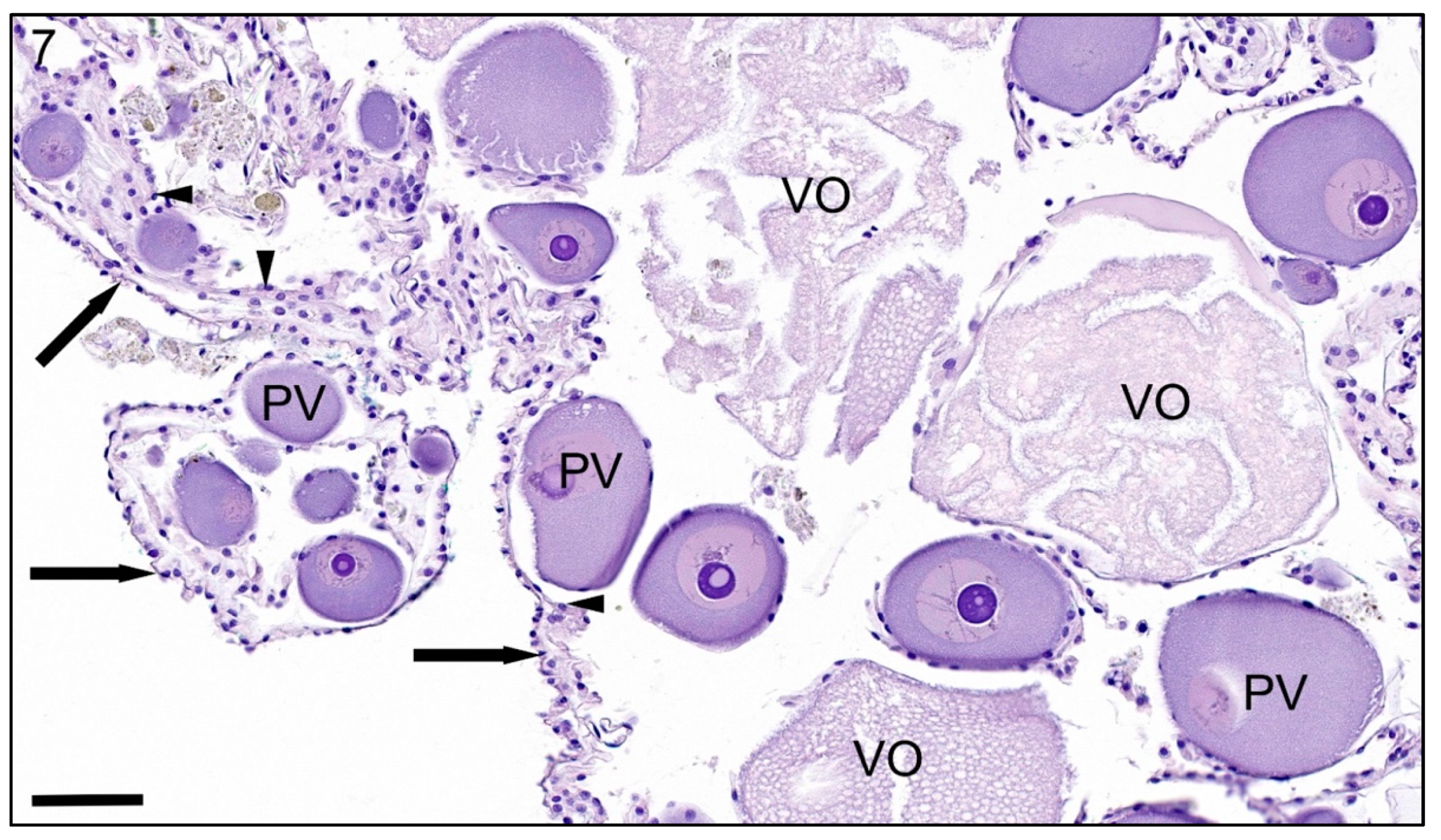 Jmse 09 00848 g007 550