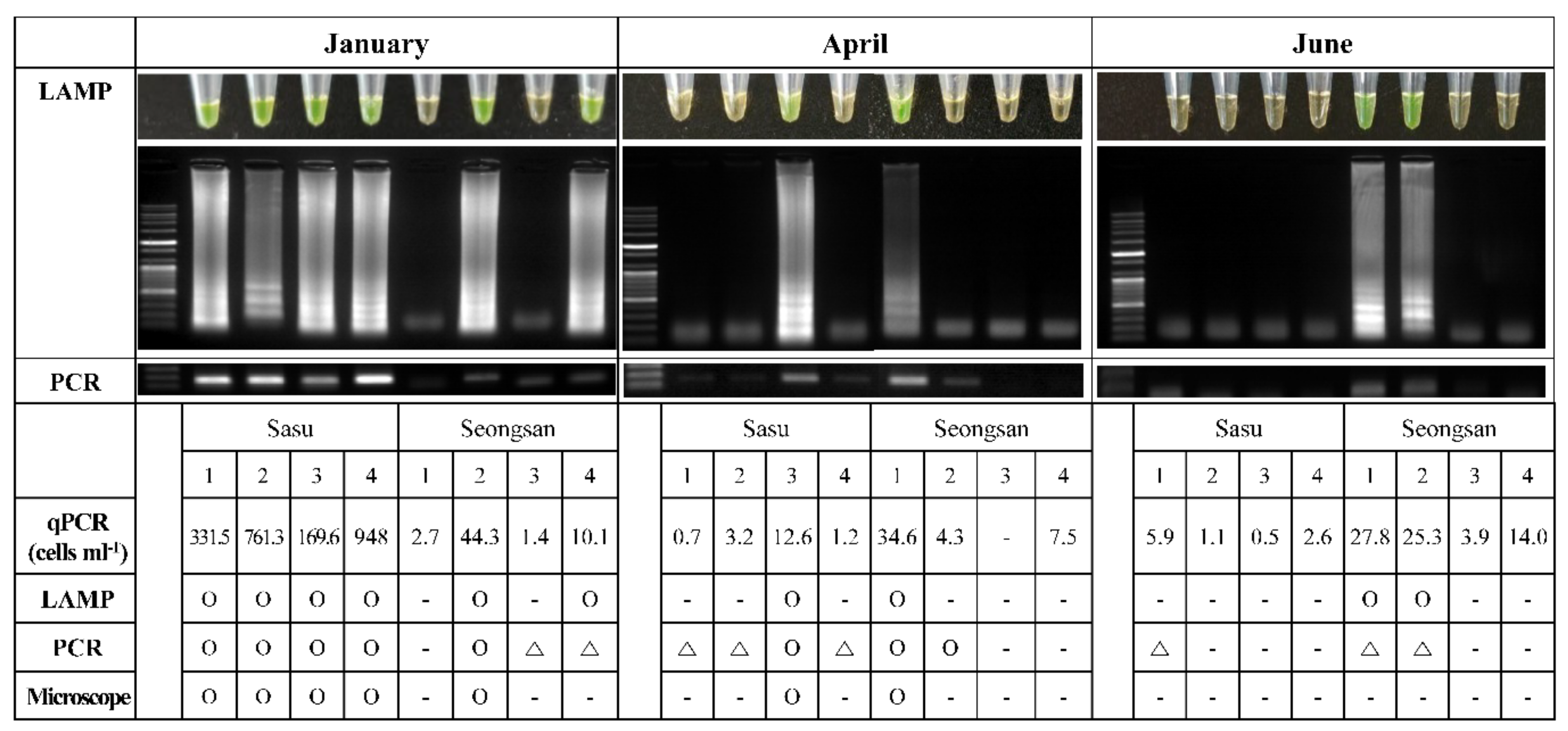 Jmse 09 00885 g006 Jmse 09 00885 g006