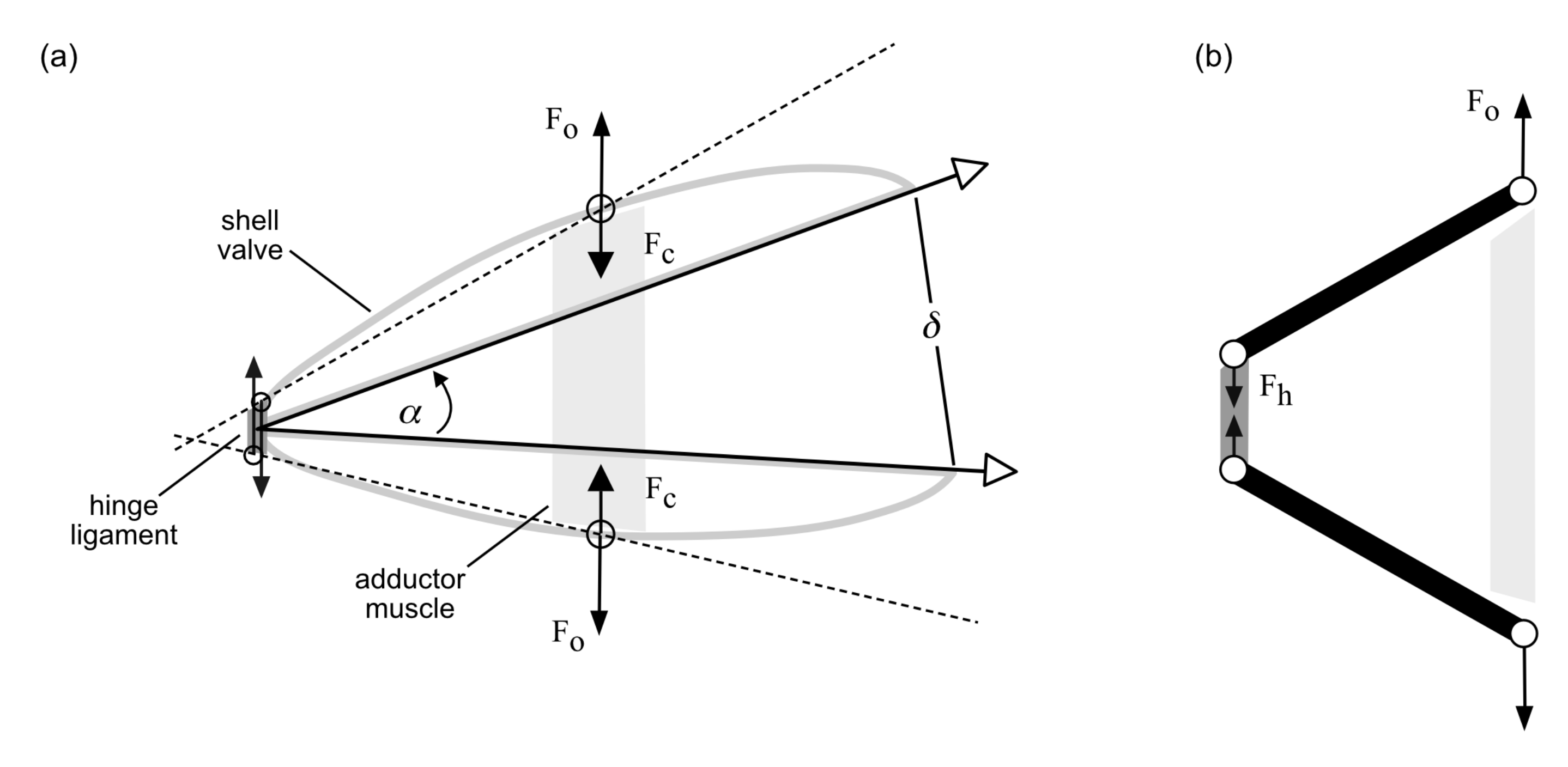 Jmse 09 01084 g001 Jmse 09 01084 g001