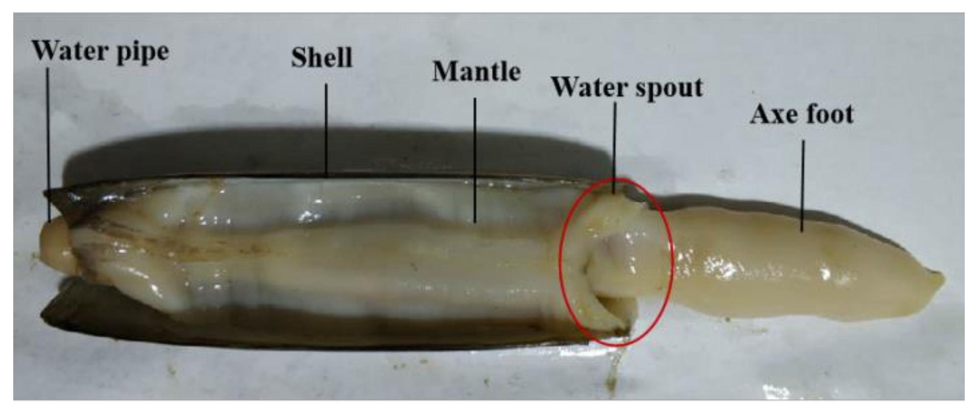 Jmse 09 01086 g007 550