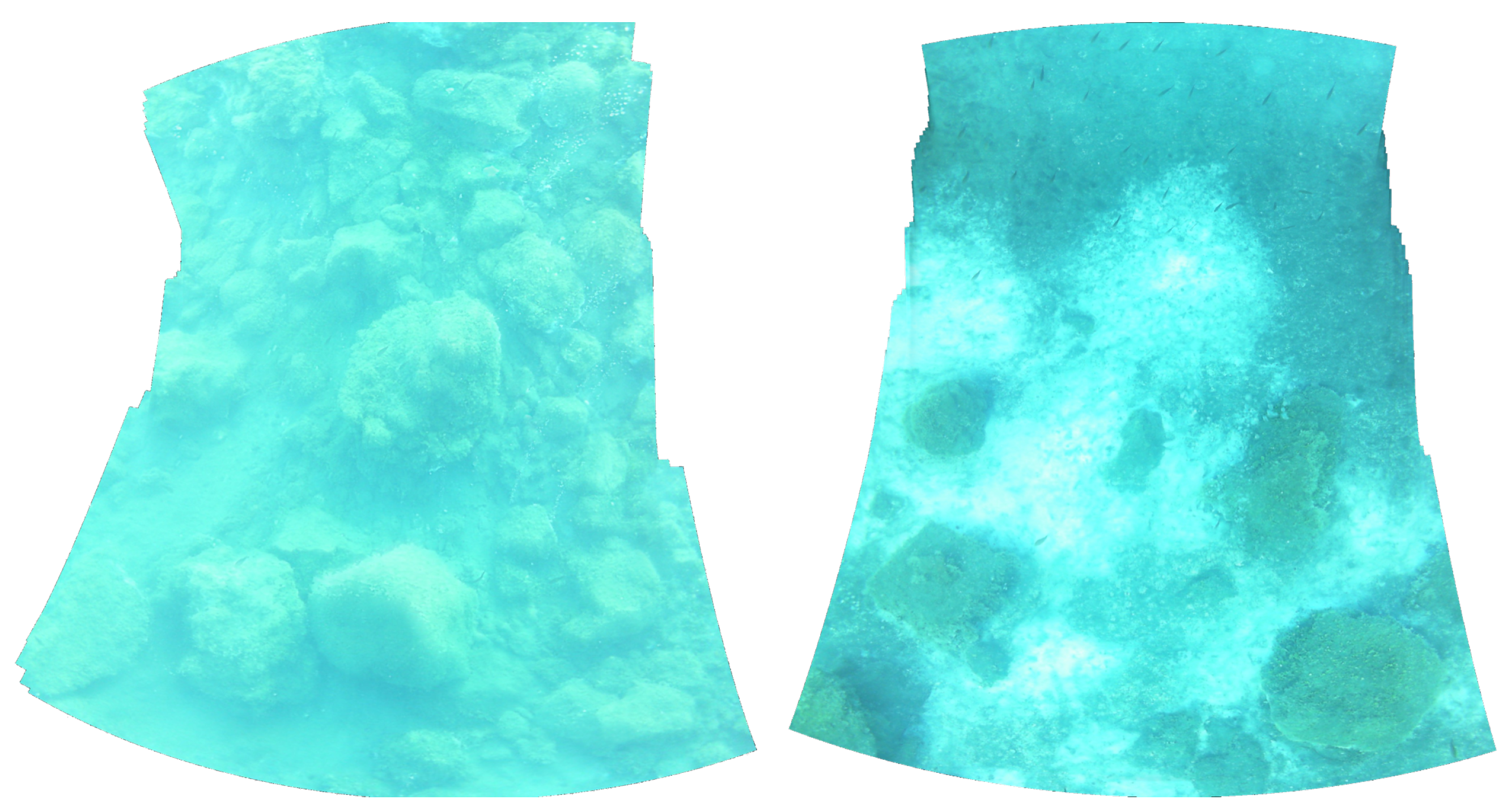 Jmse 09 01111 g006 550