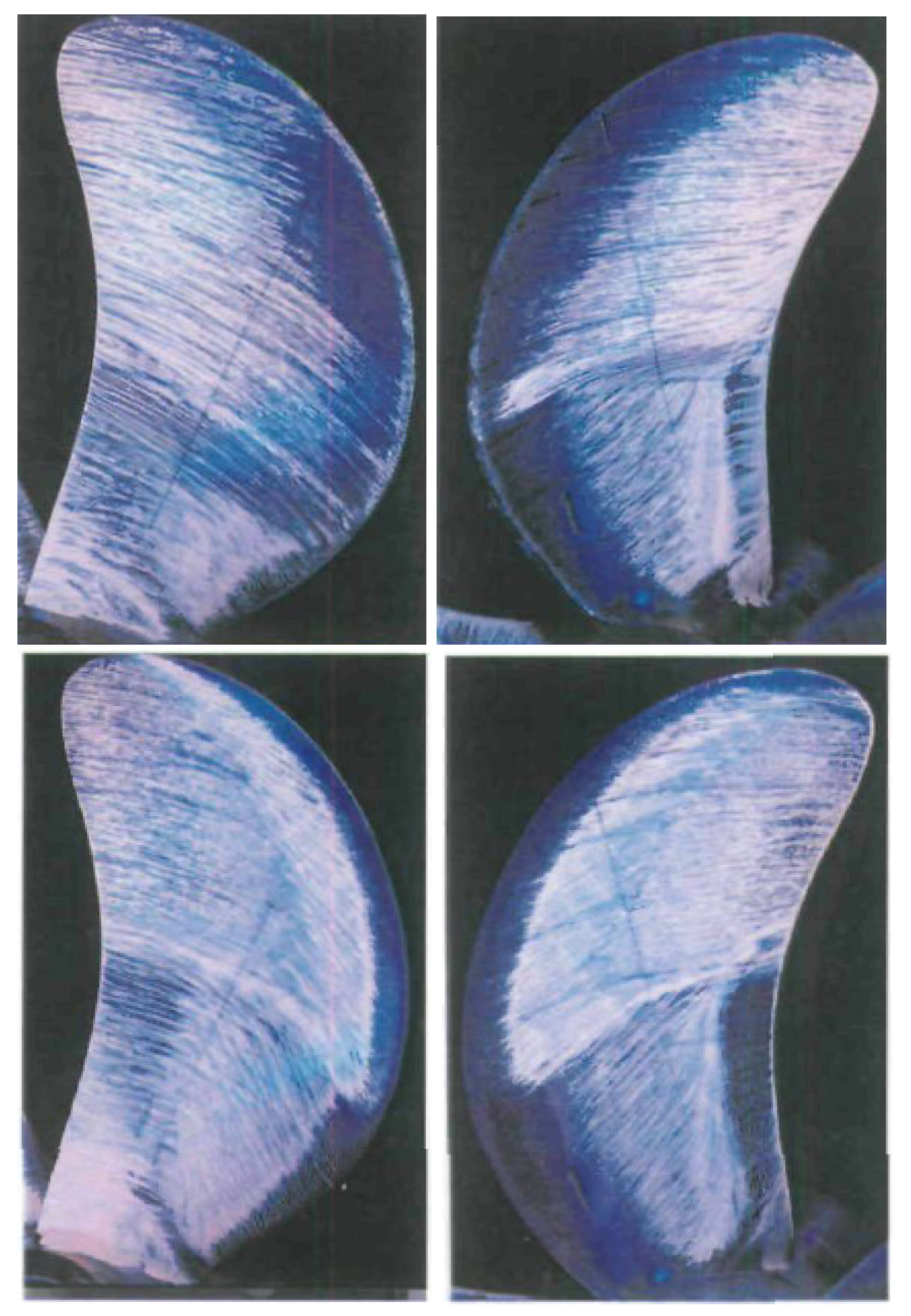 Jmse 09 01115 g017 550