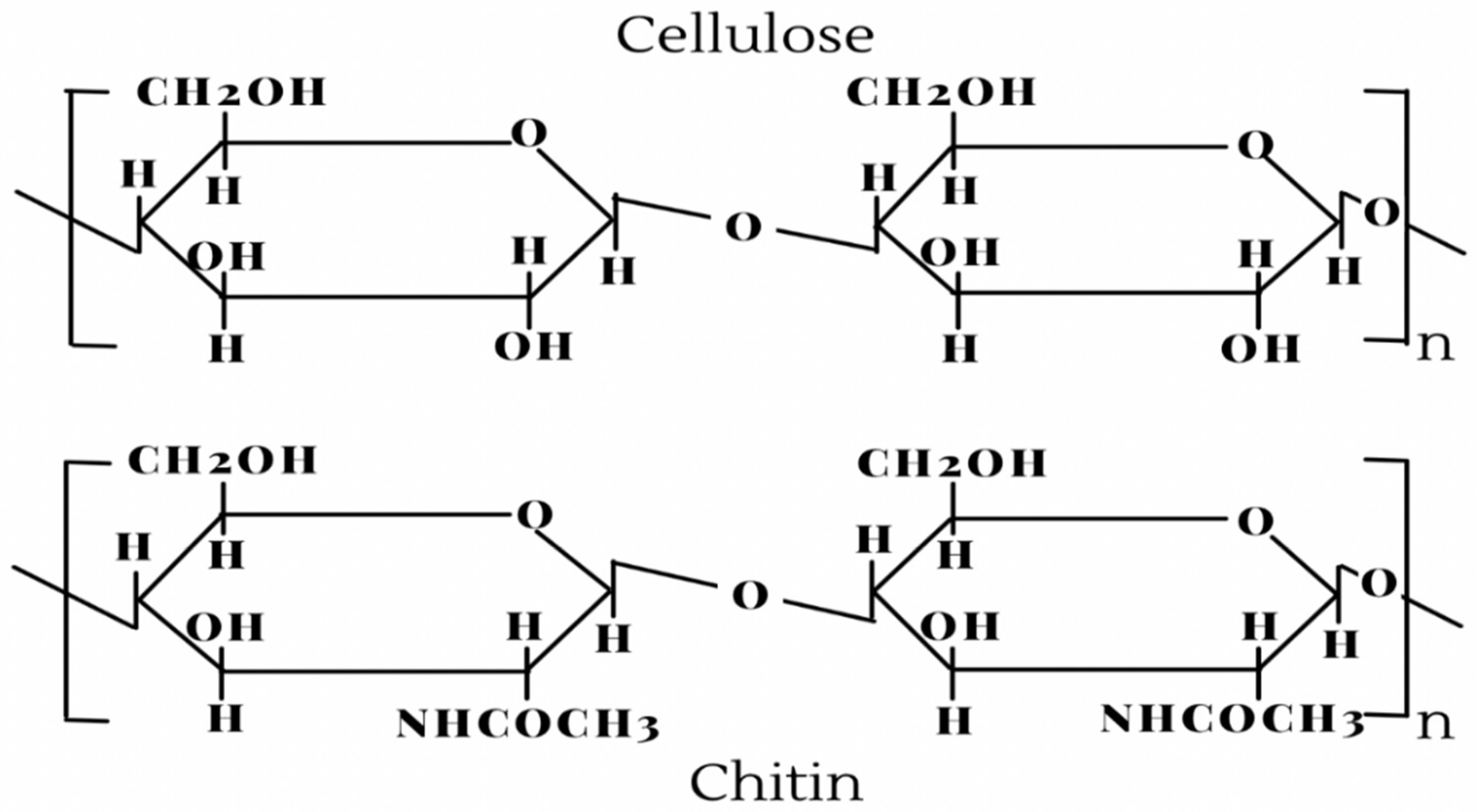Jmse 09 01173 g002 550