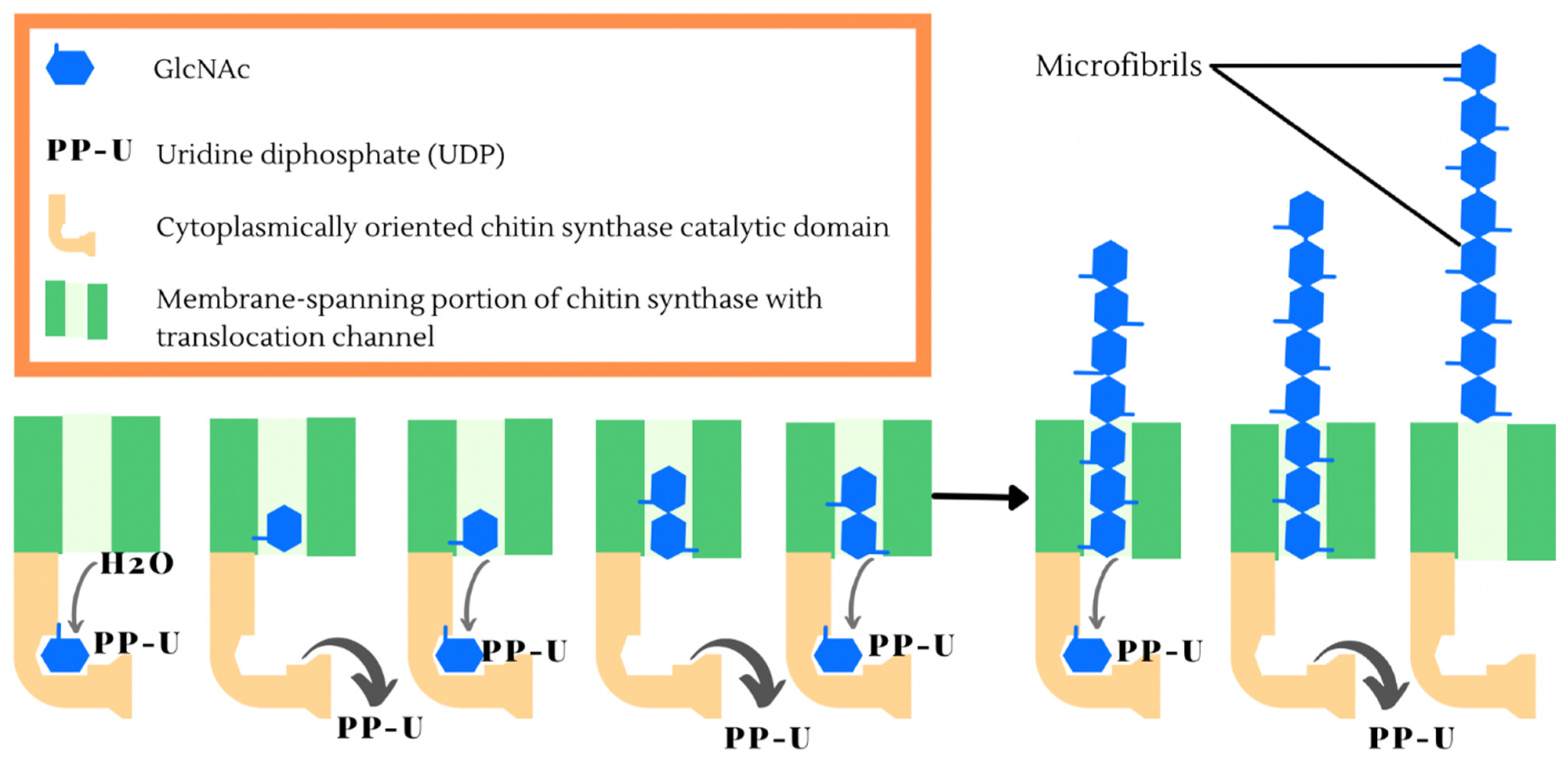 Jmse 09 01173 g004 550
