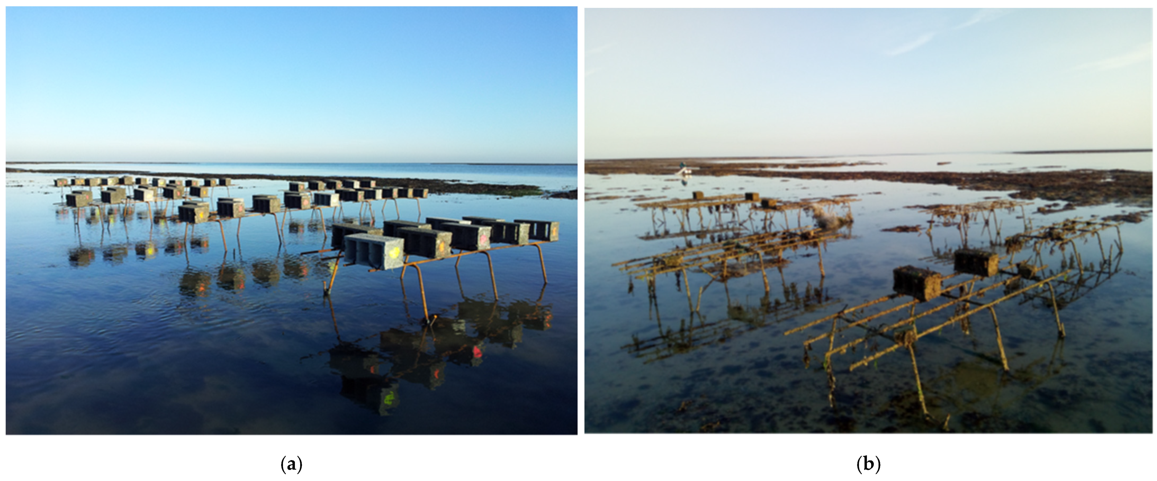 Jmse 09 01174 g002 550