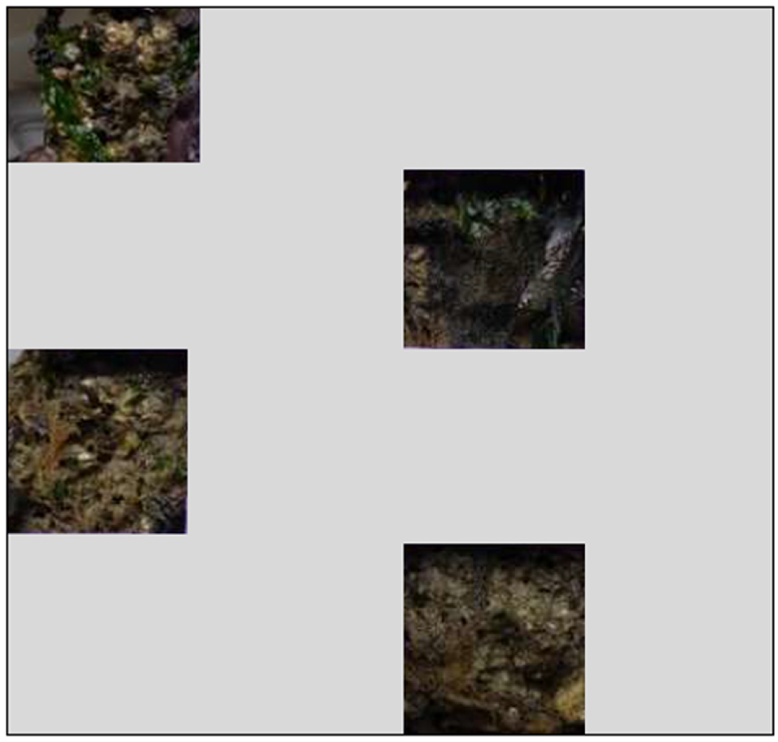 Jmse 09 01174 g003 550