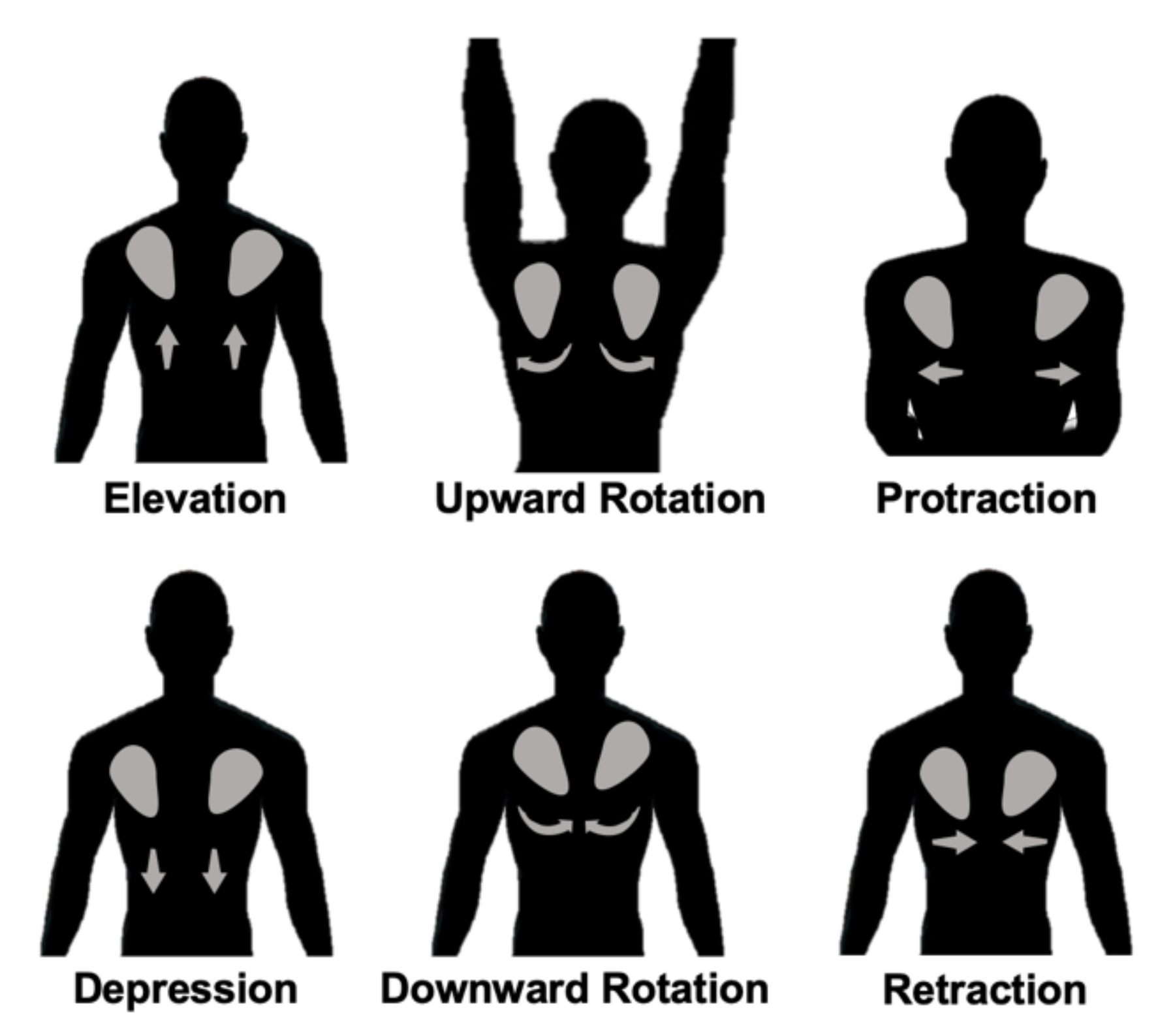 Jmse 09 01211 g0a1 550