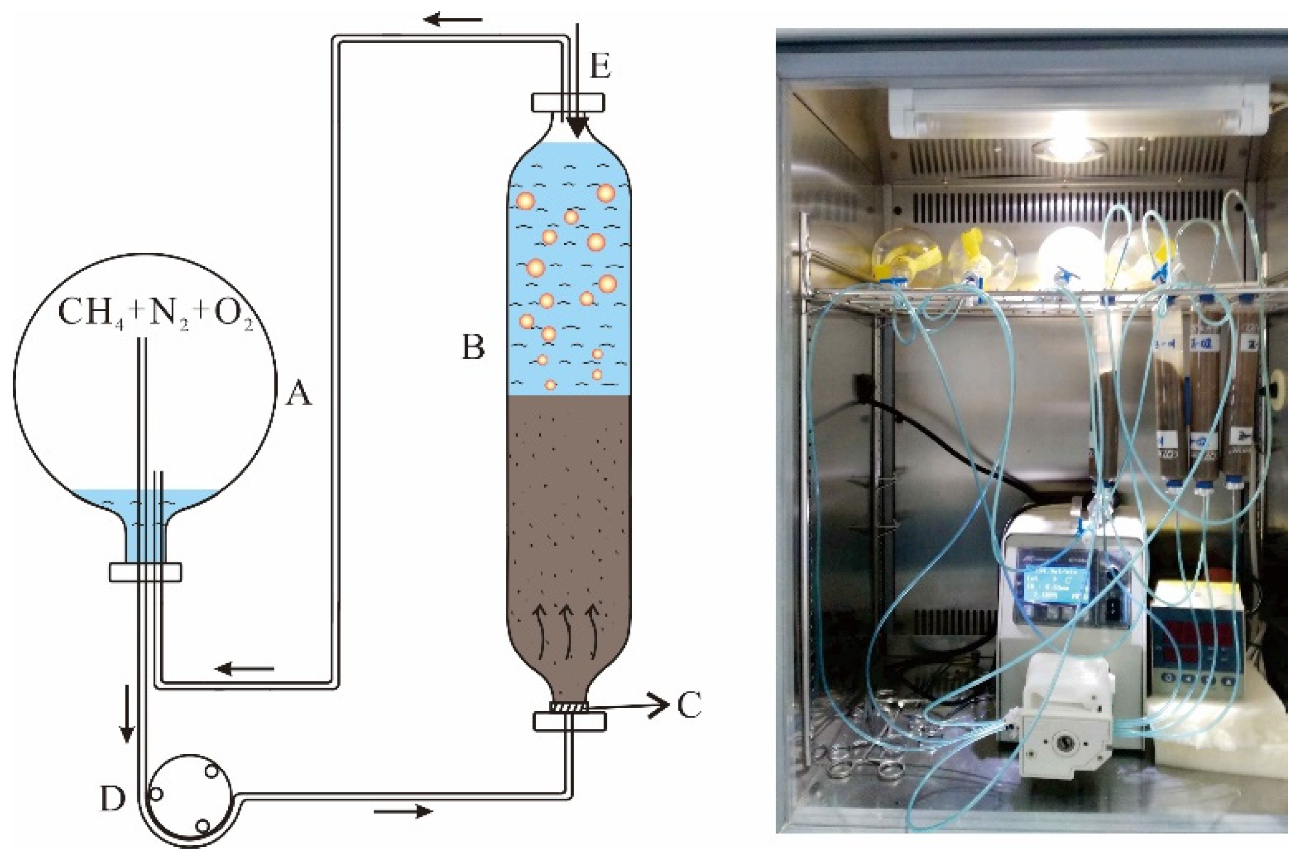 Jmse 09 01261 g001 550