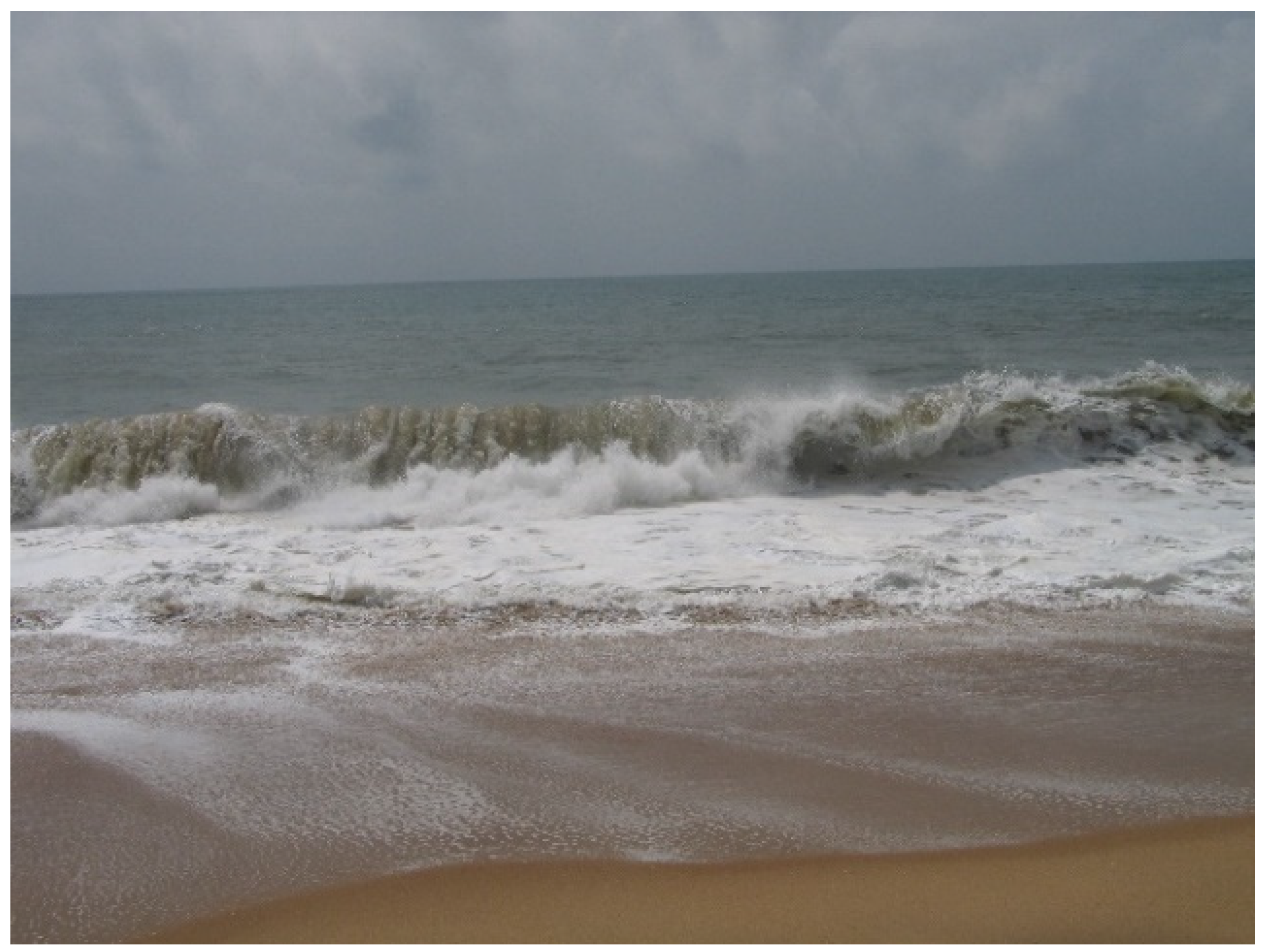 Jmse 09 01300 g010 550