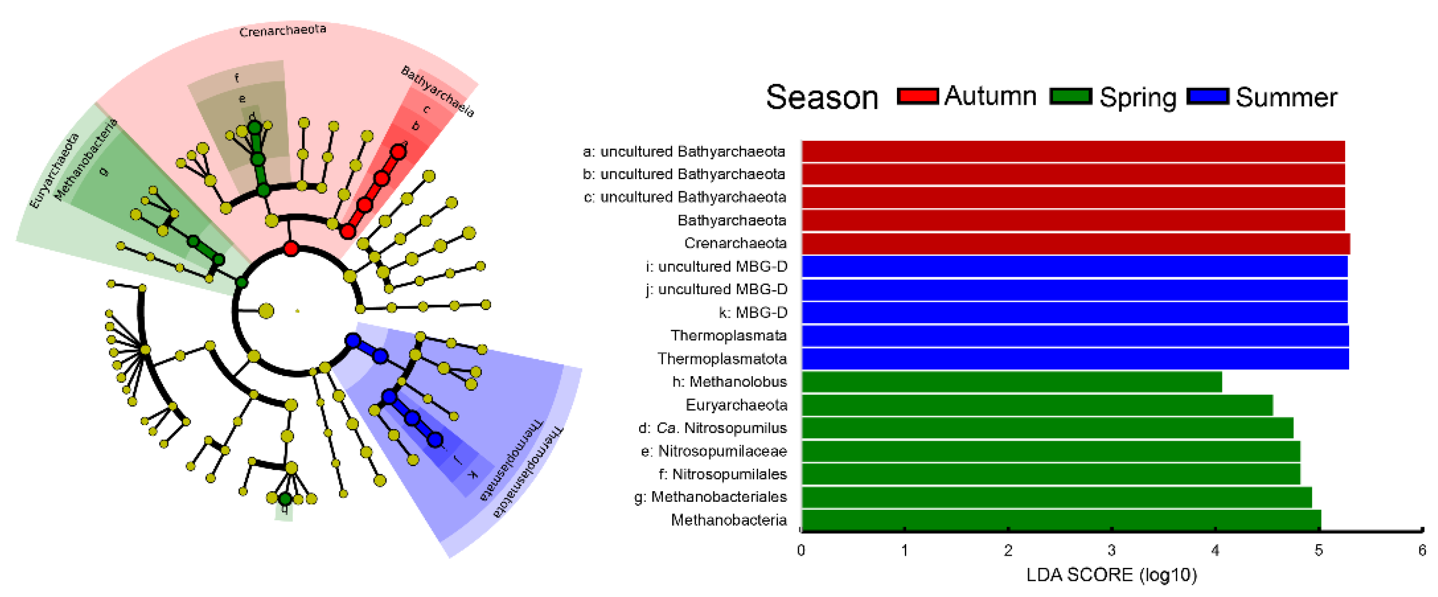 Jmse 09 01304 g006 Jmse 09 01304 g006