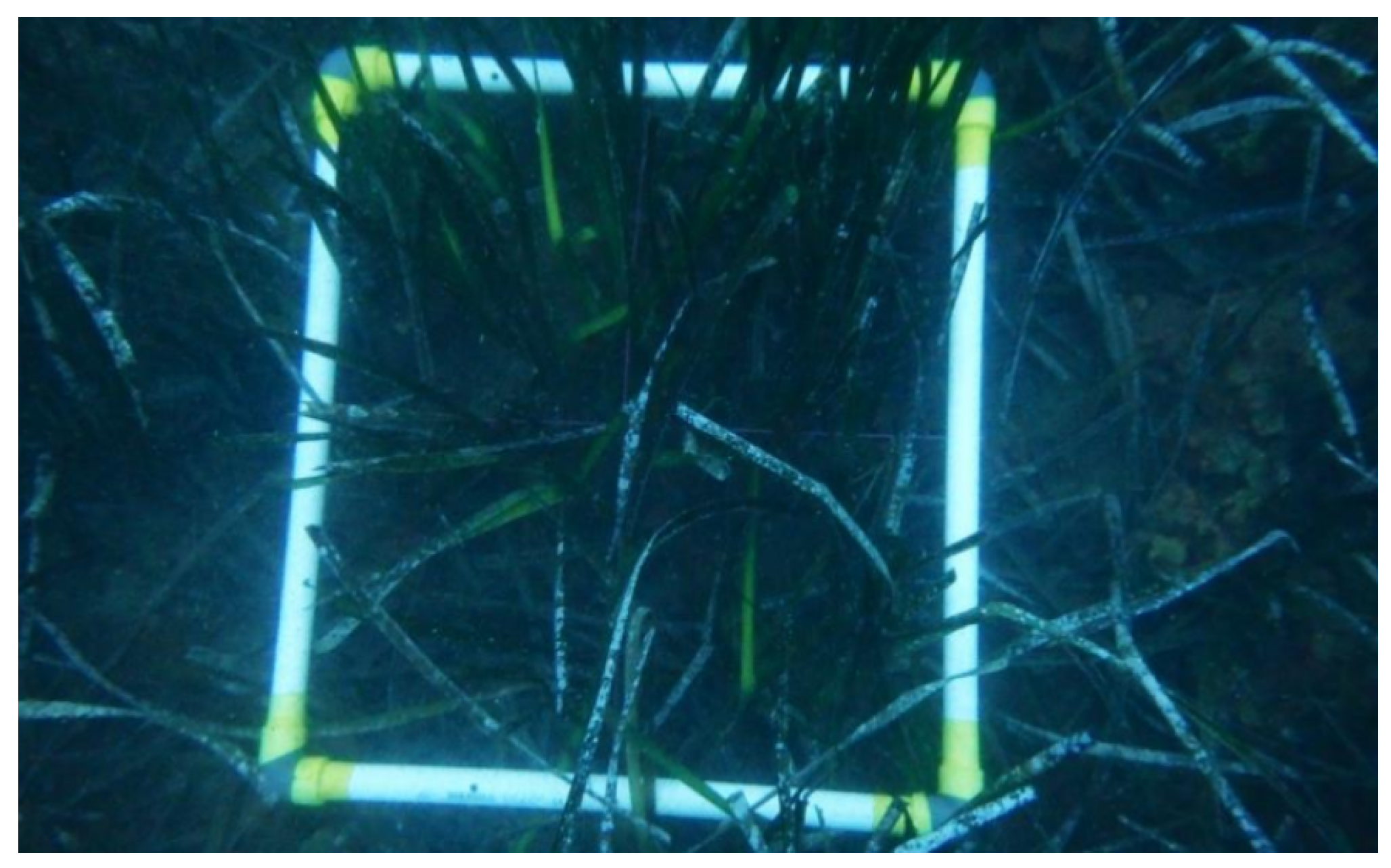 Jmse 09 01332 g004 Jmse 09 01332 g004