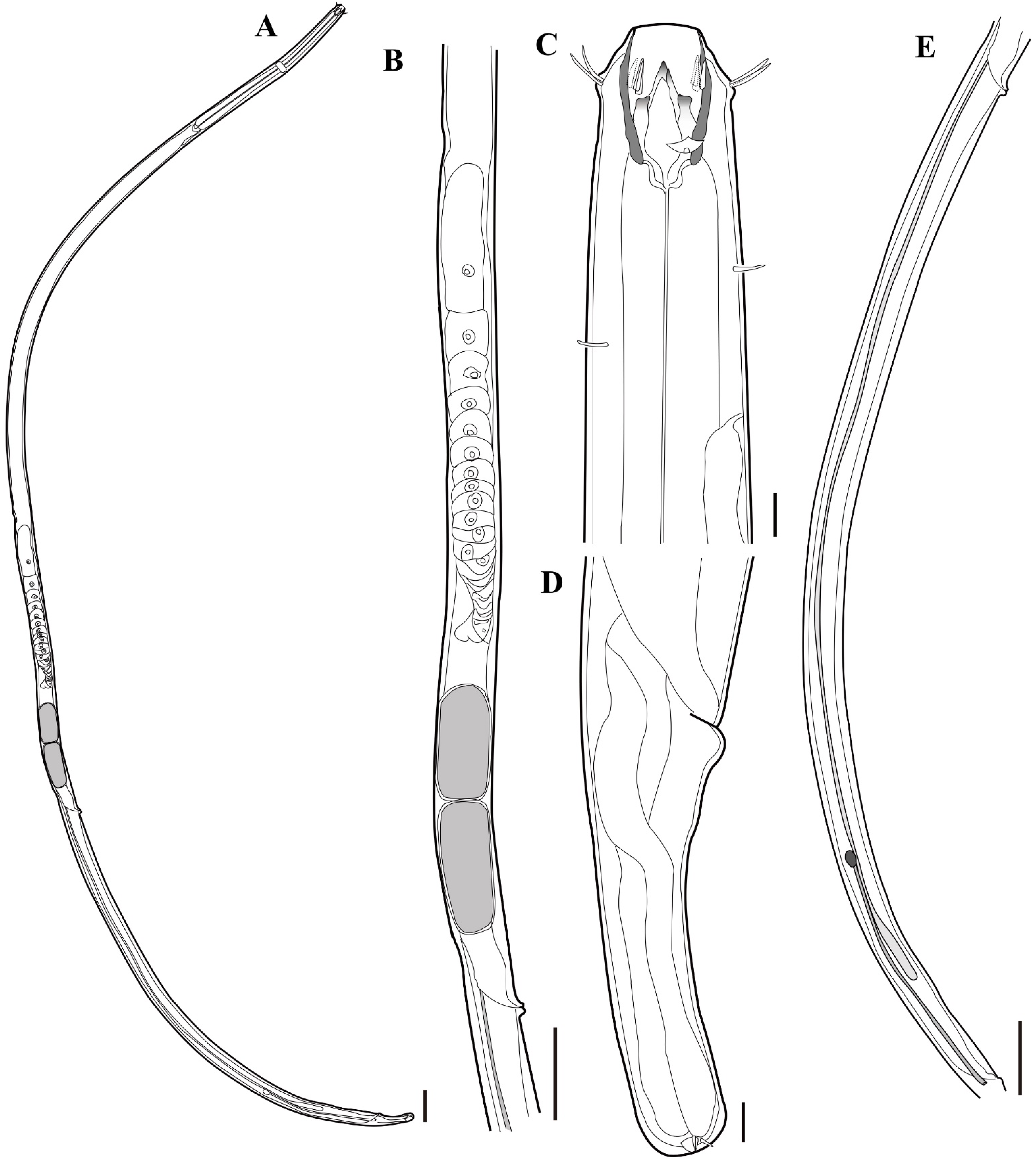Jmse 09 01334 g002 Jmse 09 01334 g002