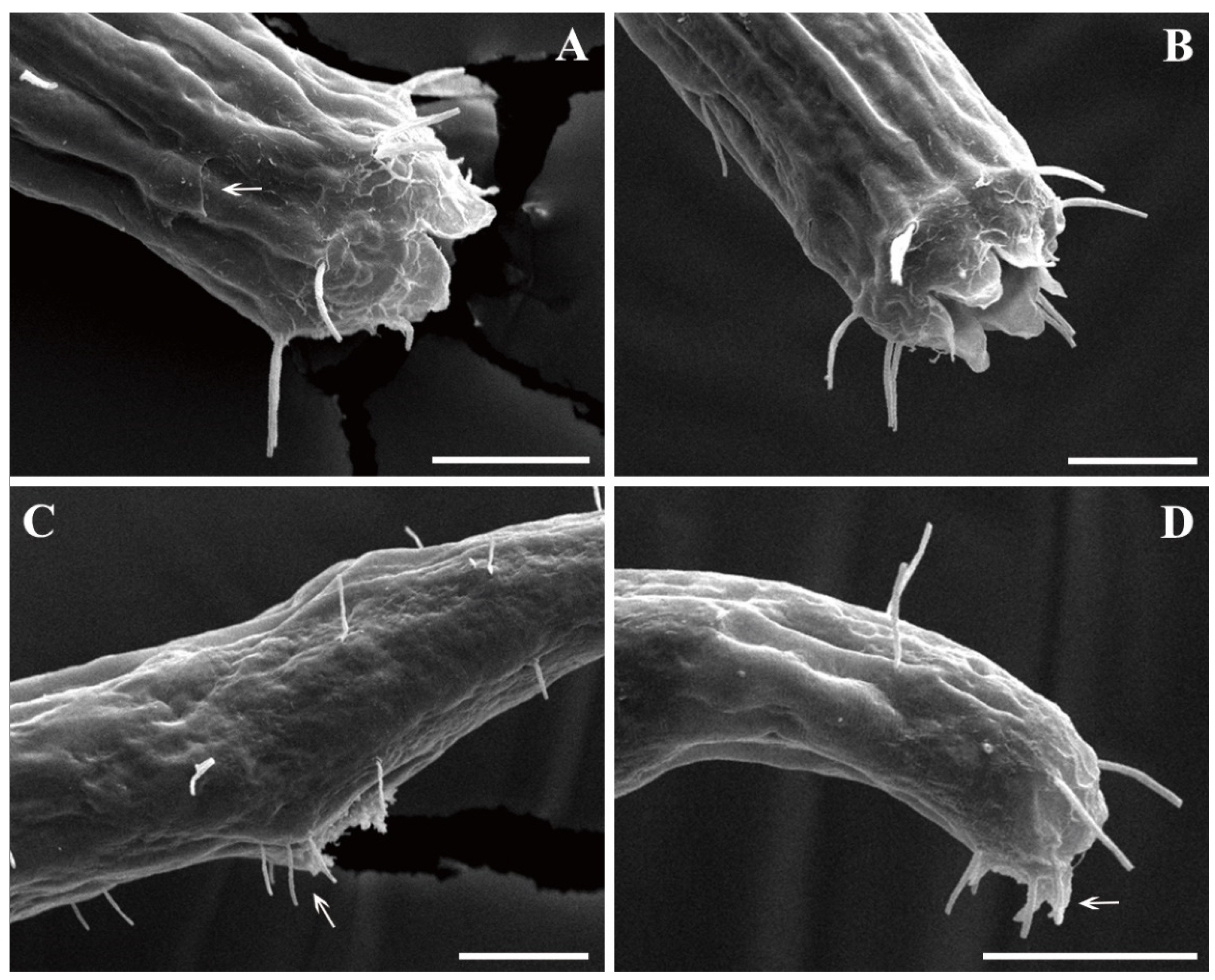 Jmse 09 01334 g003 Jmse 09 01334 g003