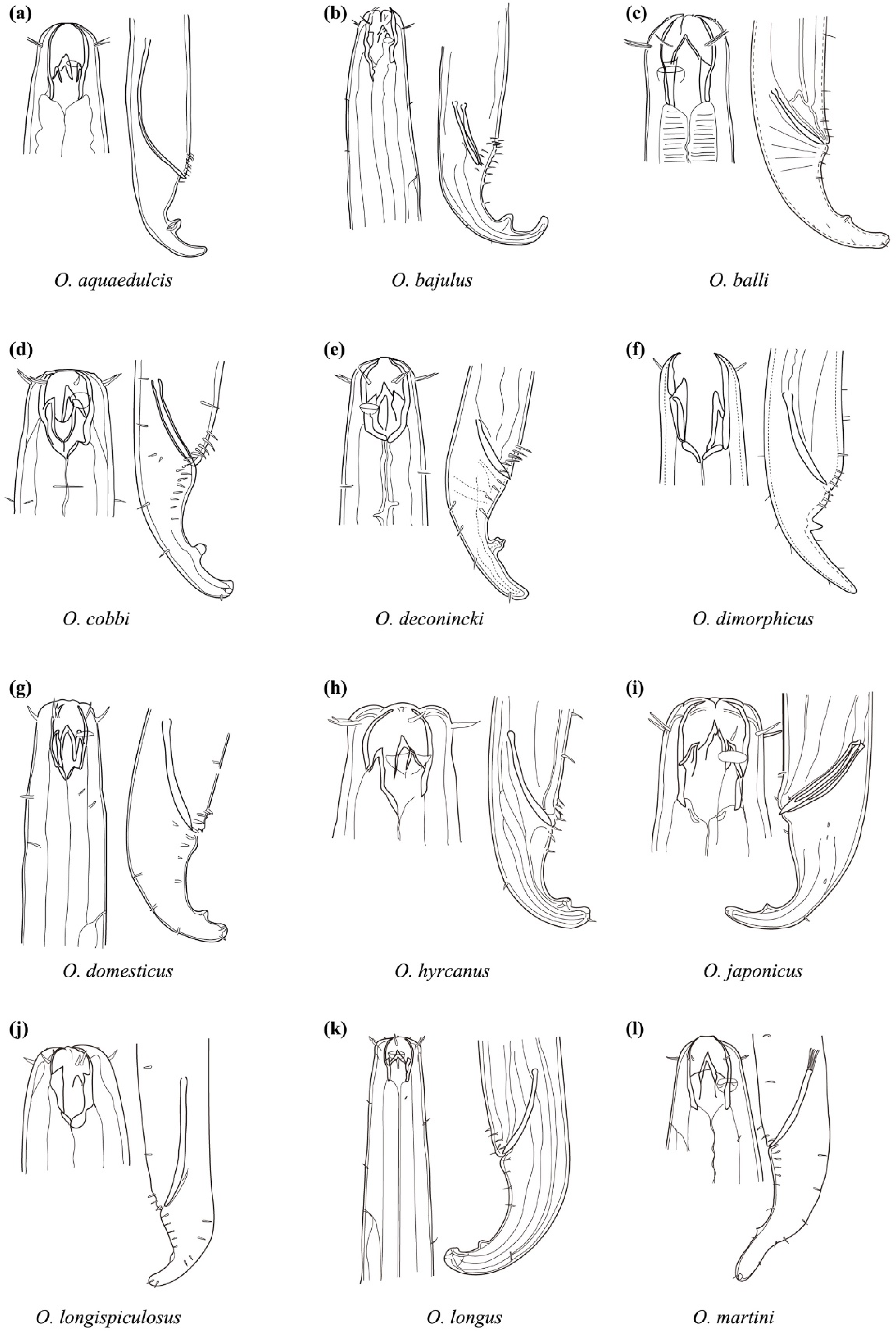Jmse 09 01334 g005a Jmse 09 01334 g005a