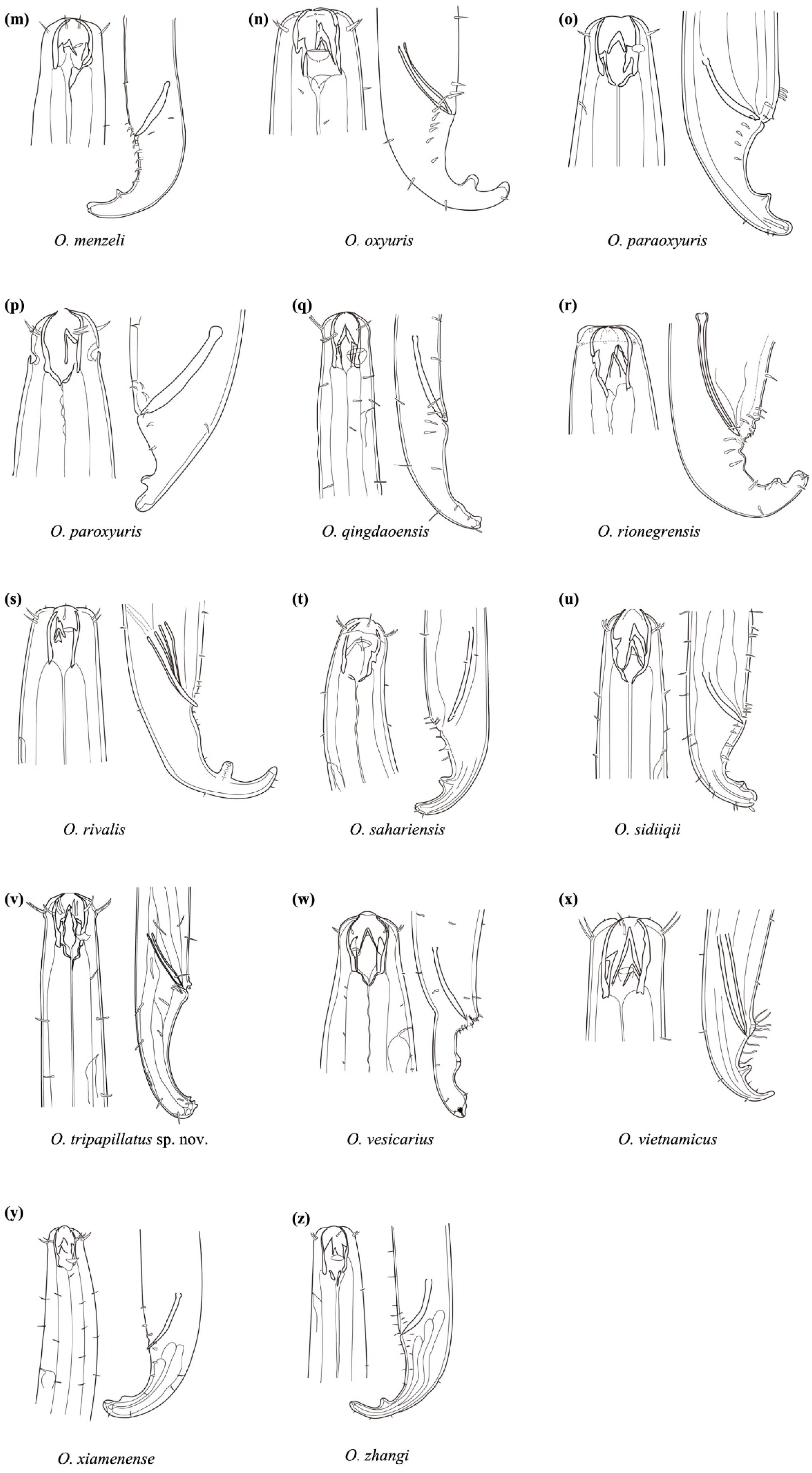 Jmse 09 01334 g005b Jmse 09 01334 g005b