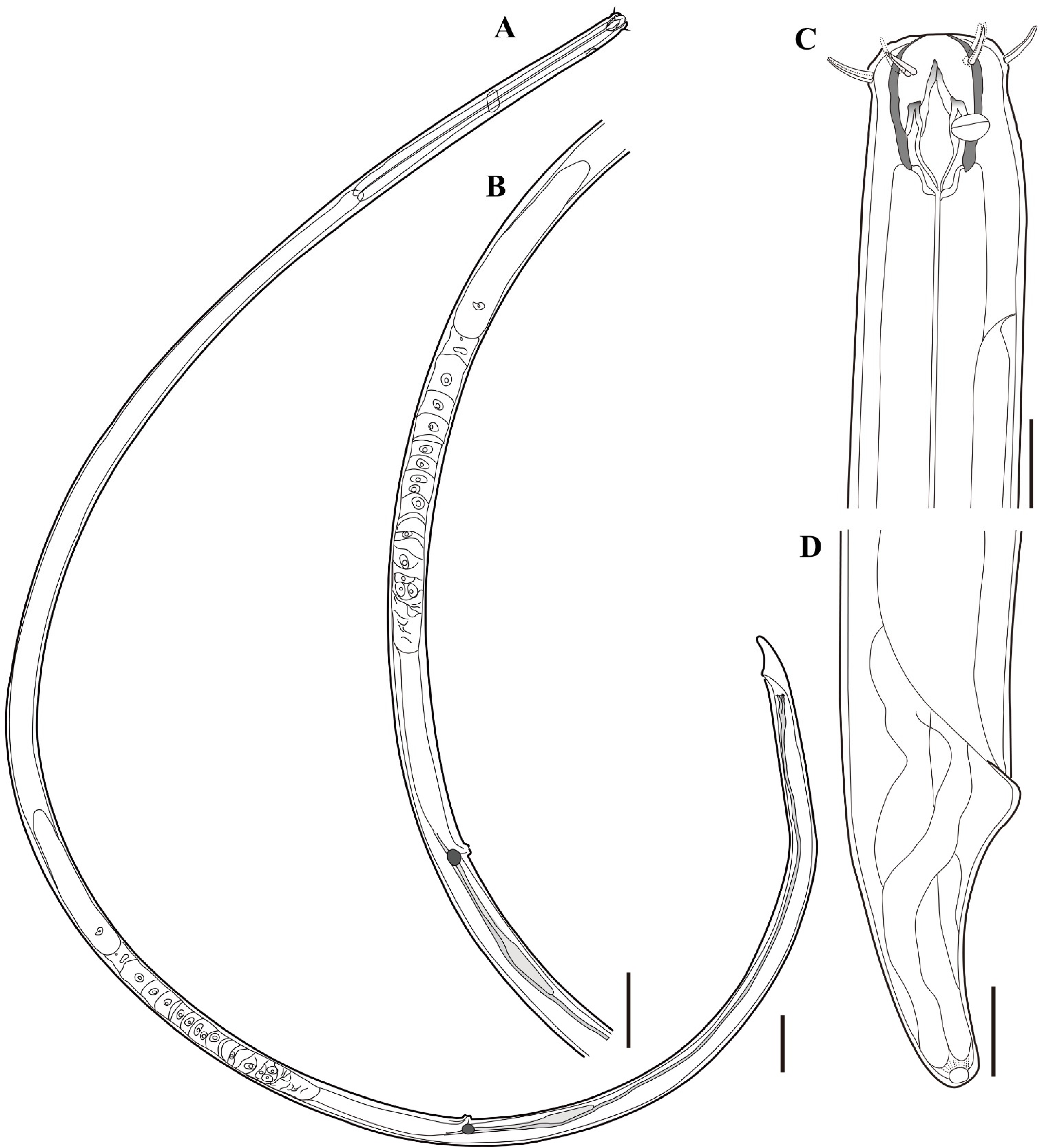 Jmse 09 01334 g007 Jmse 09 01334 g007