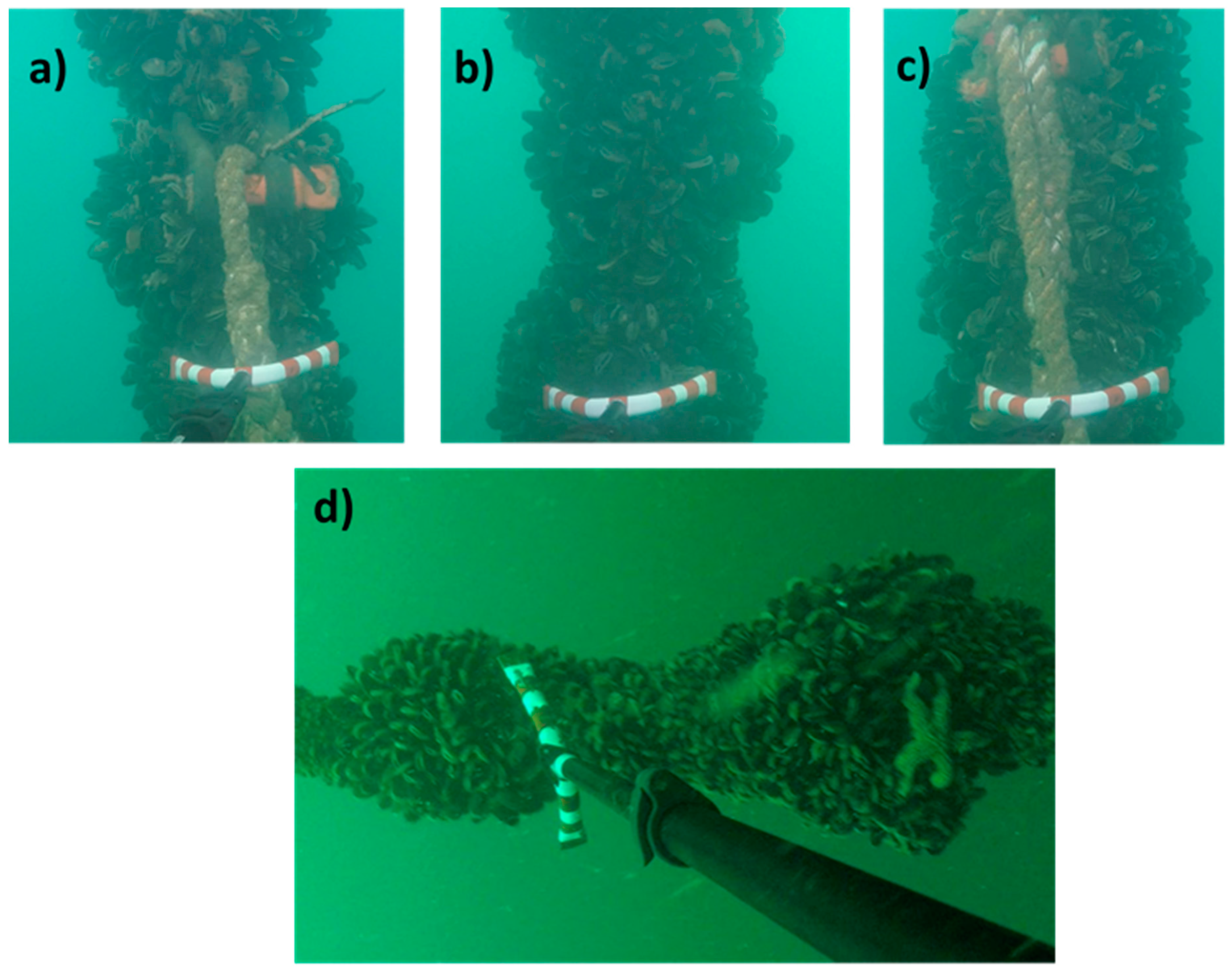 Jmse 09 01344 g007 Jmse 09 01344 g007