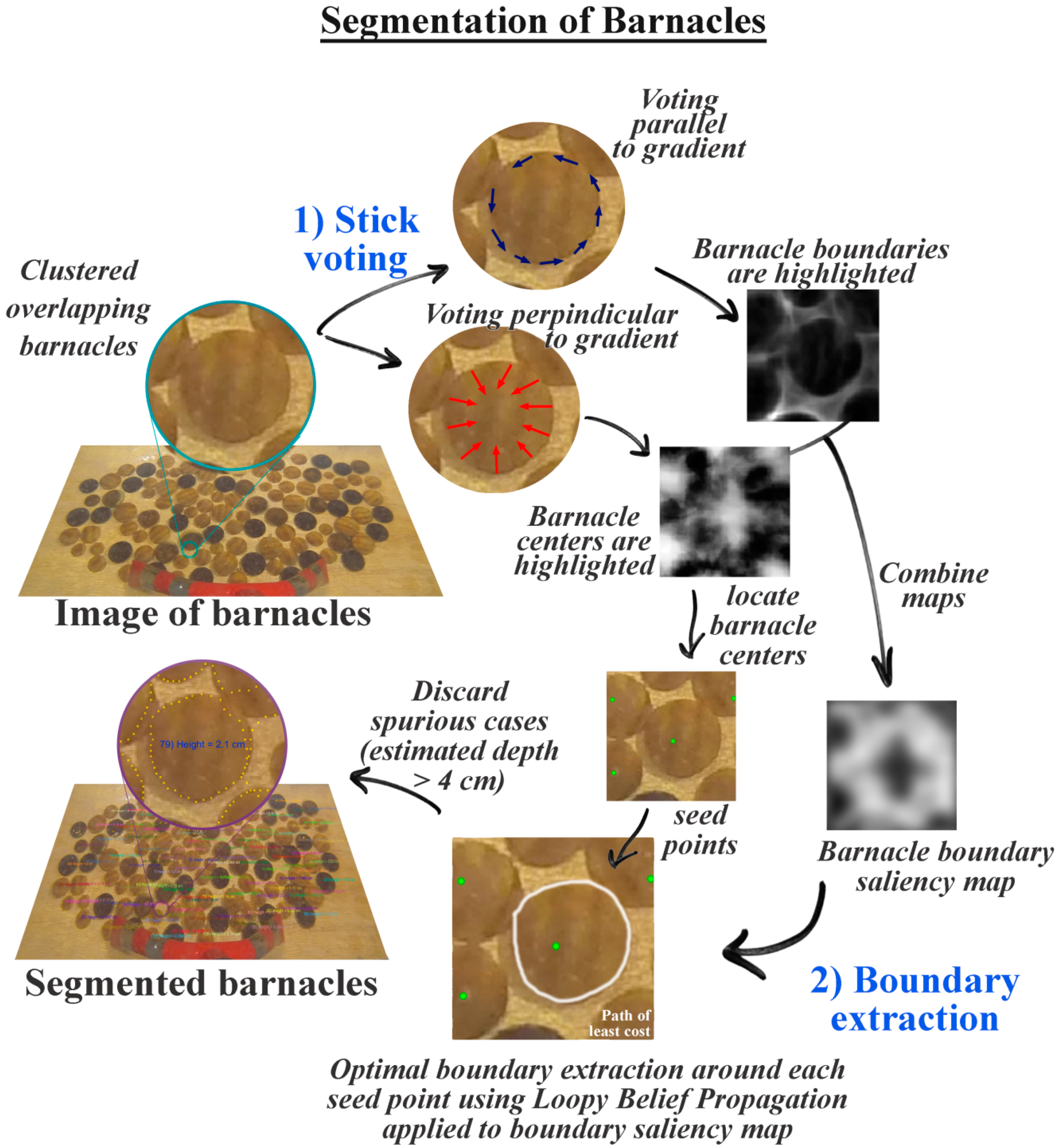 Jmse 09 01344 g008 Jmse 09 01344 g008