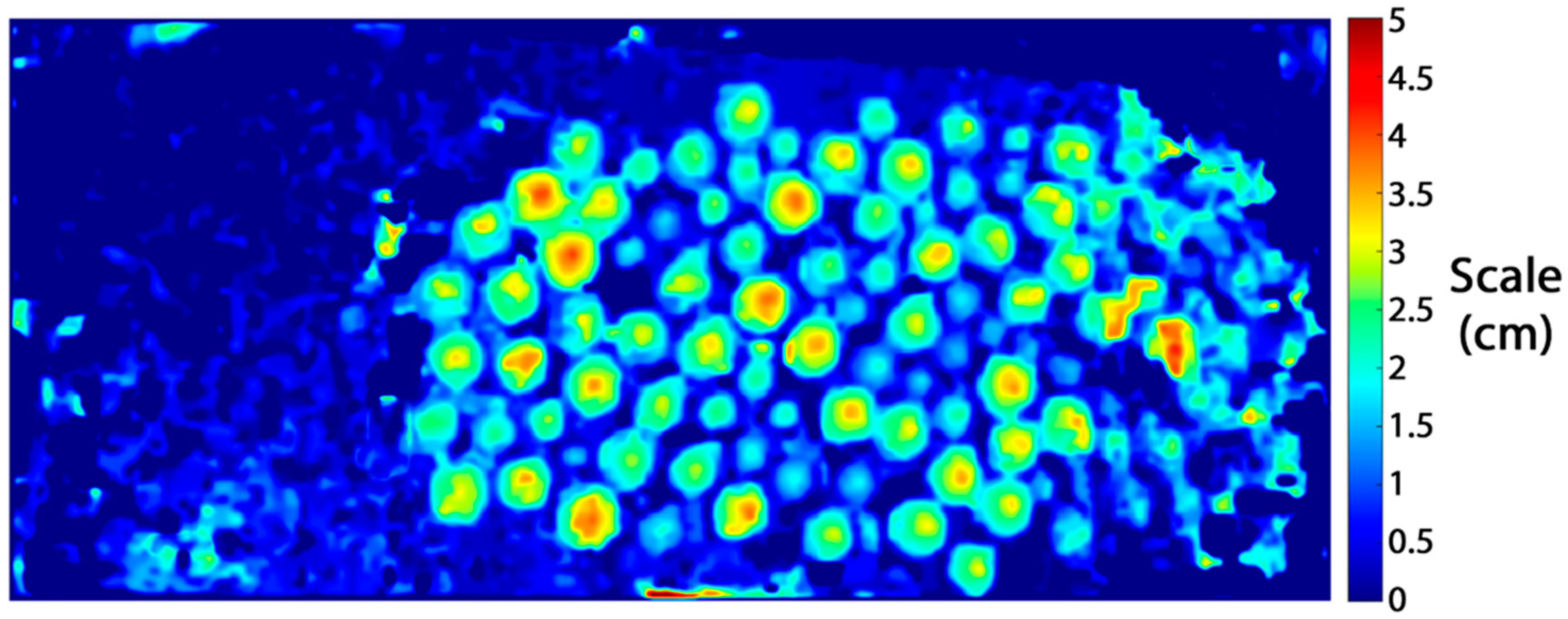 Jmse 09 01344 g009 Jmse 09 01344 g009