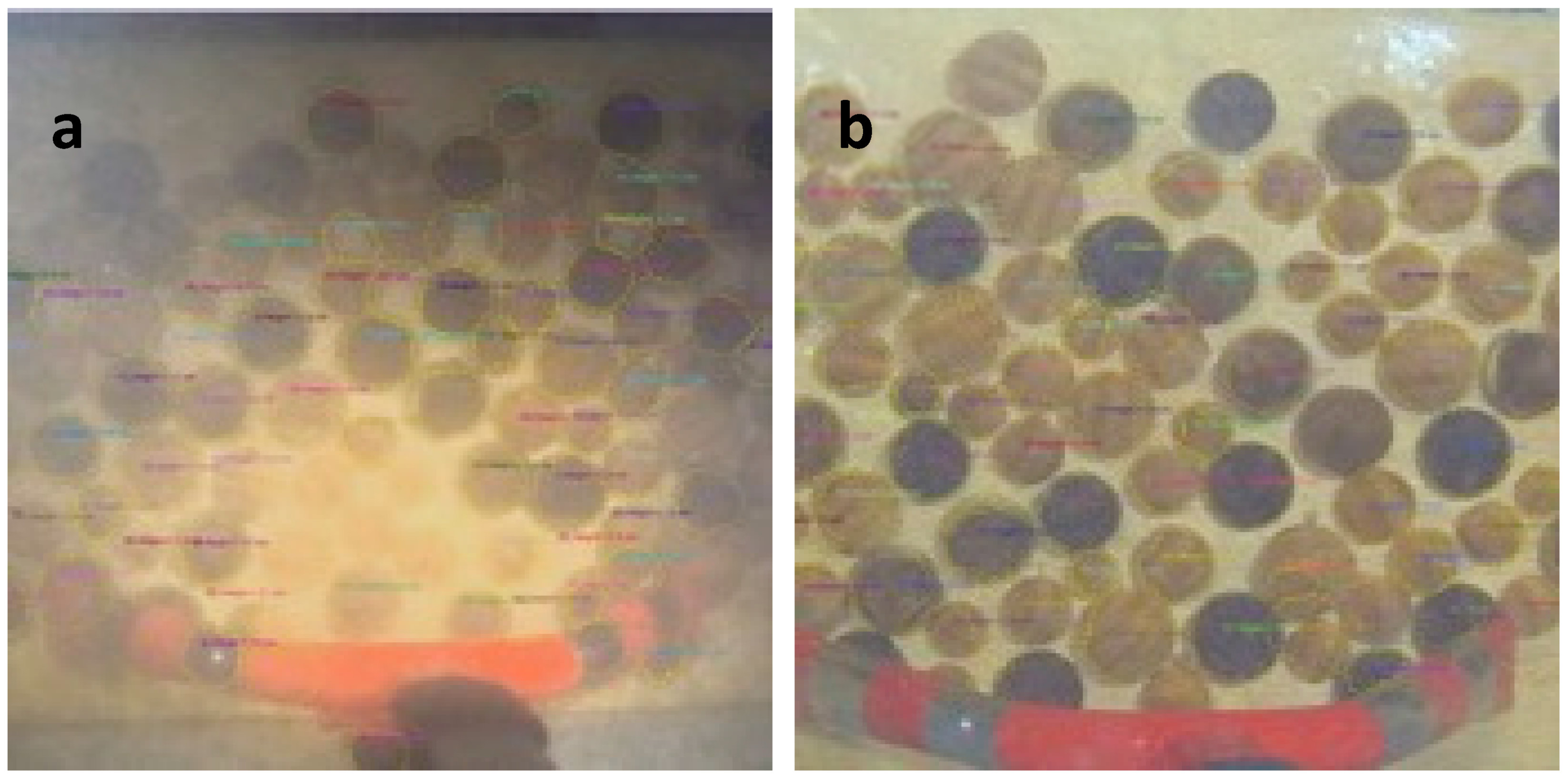 Jmse 09 01344 g012 Jmse 09 01344 g012