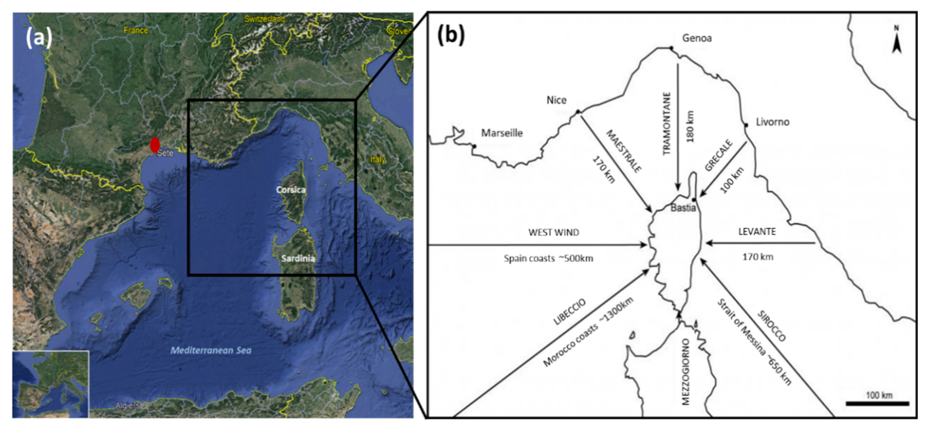 Jmse 09 01347 g001 550