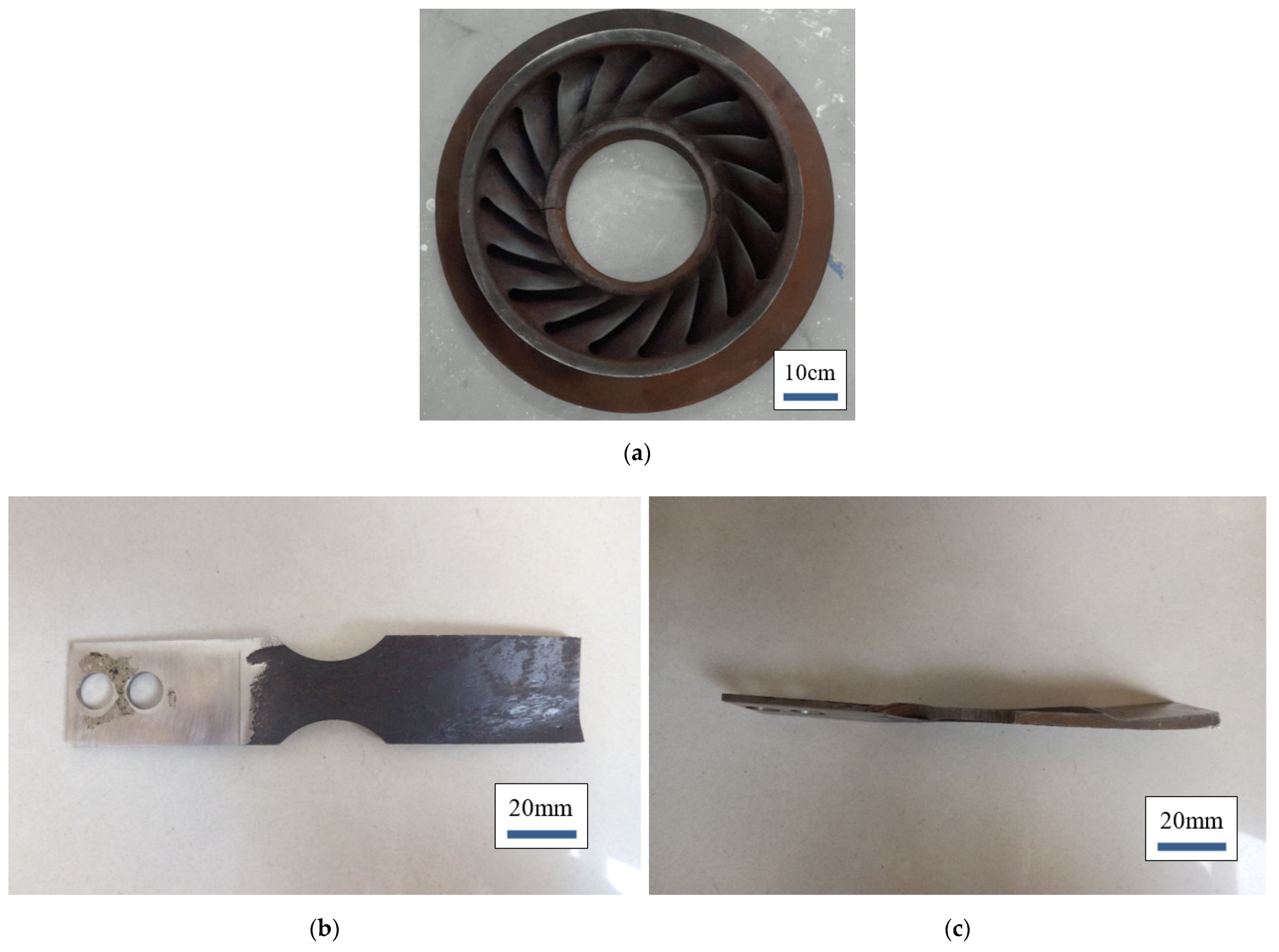 Jmse 09 01358 g003 550