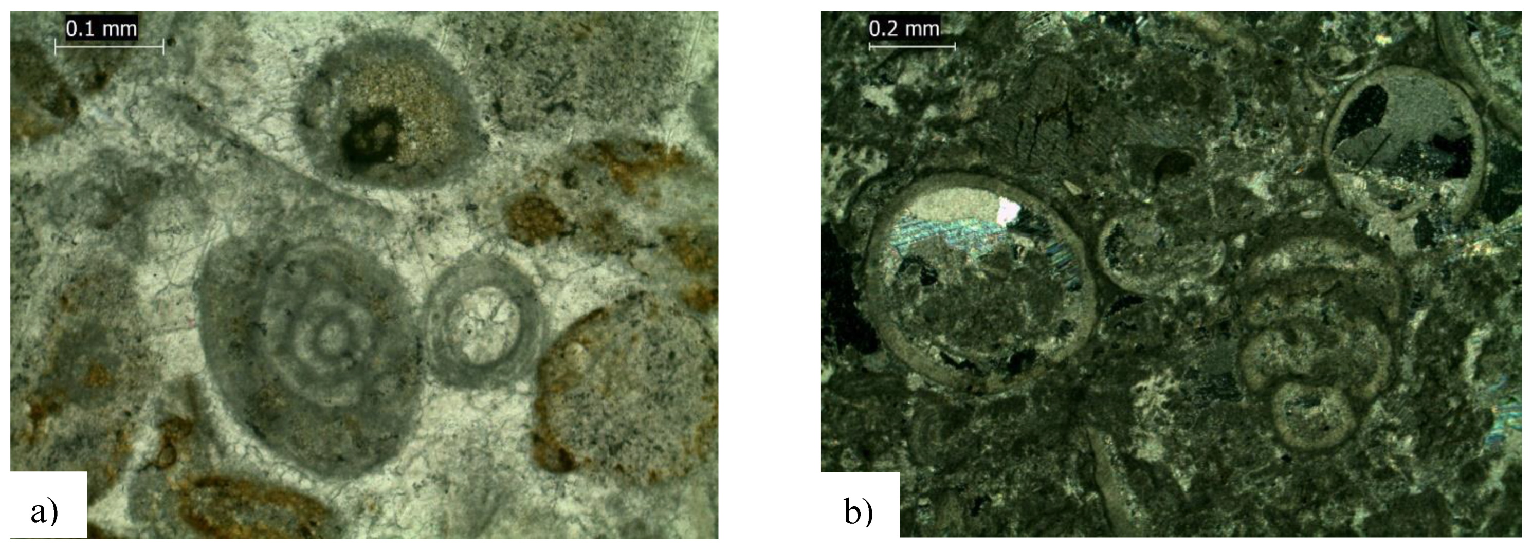 Jmse 09 01372 g006a Jmse 09 01372 g006a