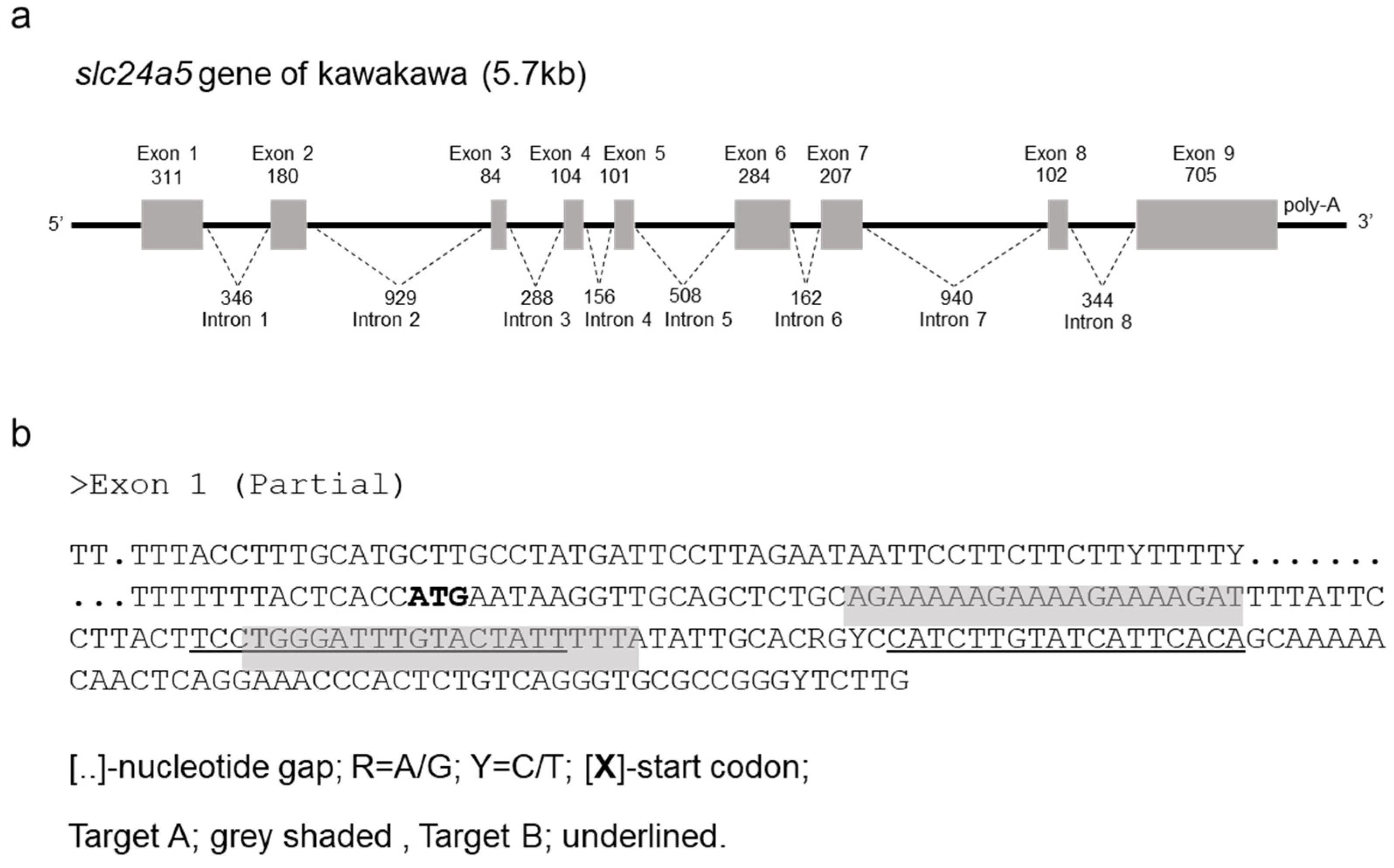 Jmse 09 01378 g001 550