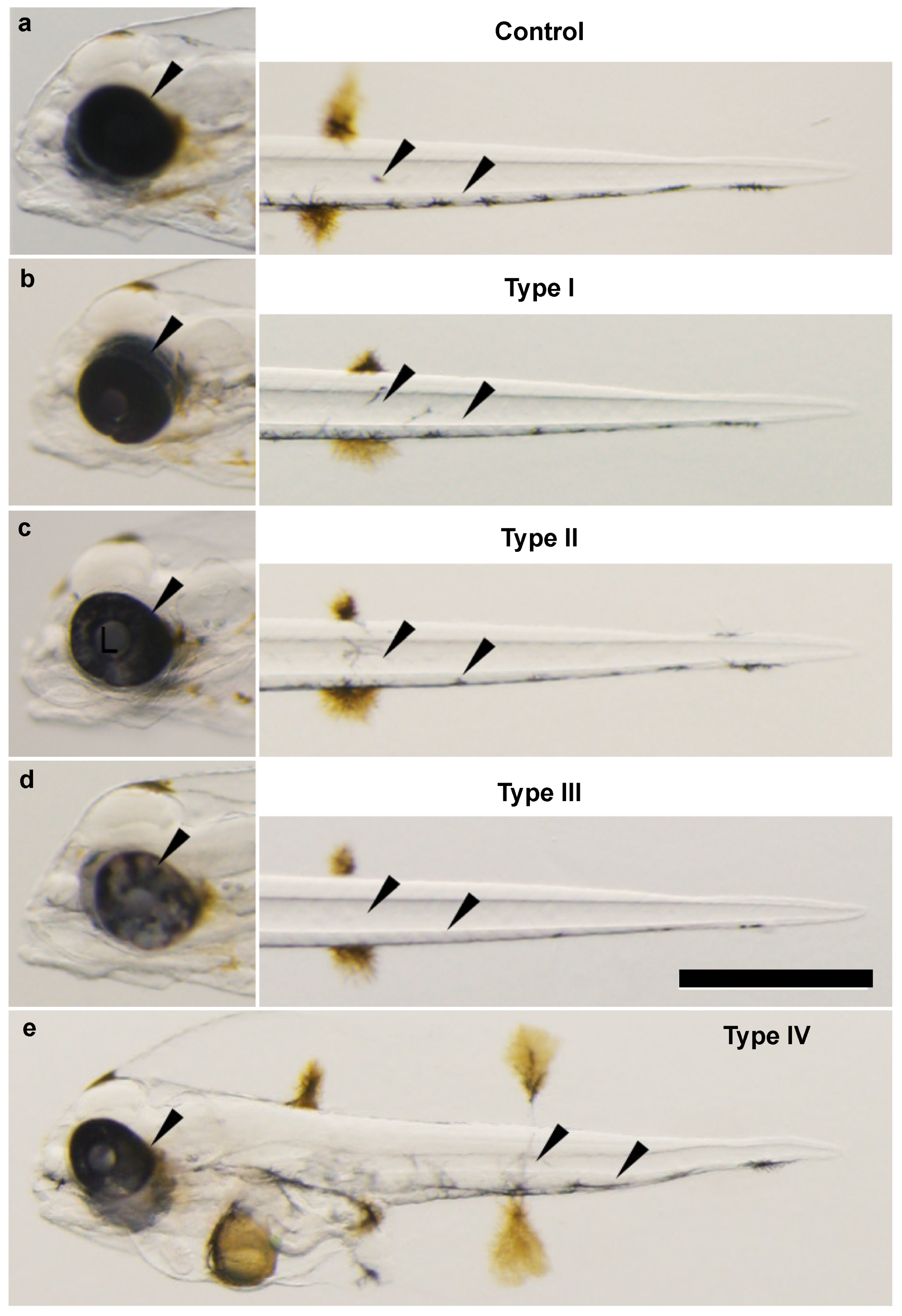 Jmse 09 01378 g005 550