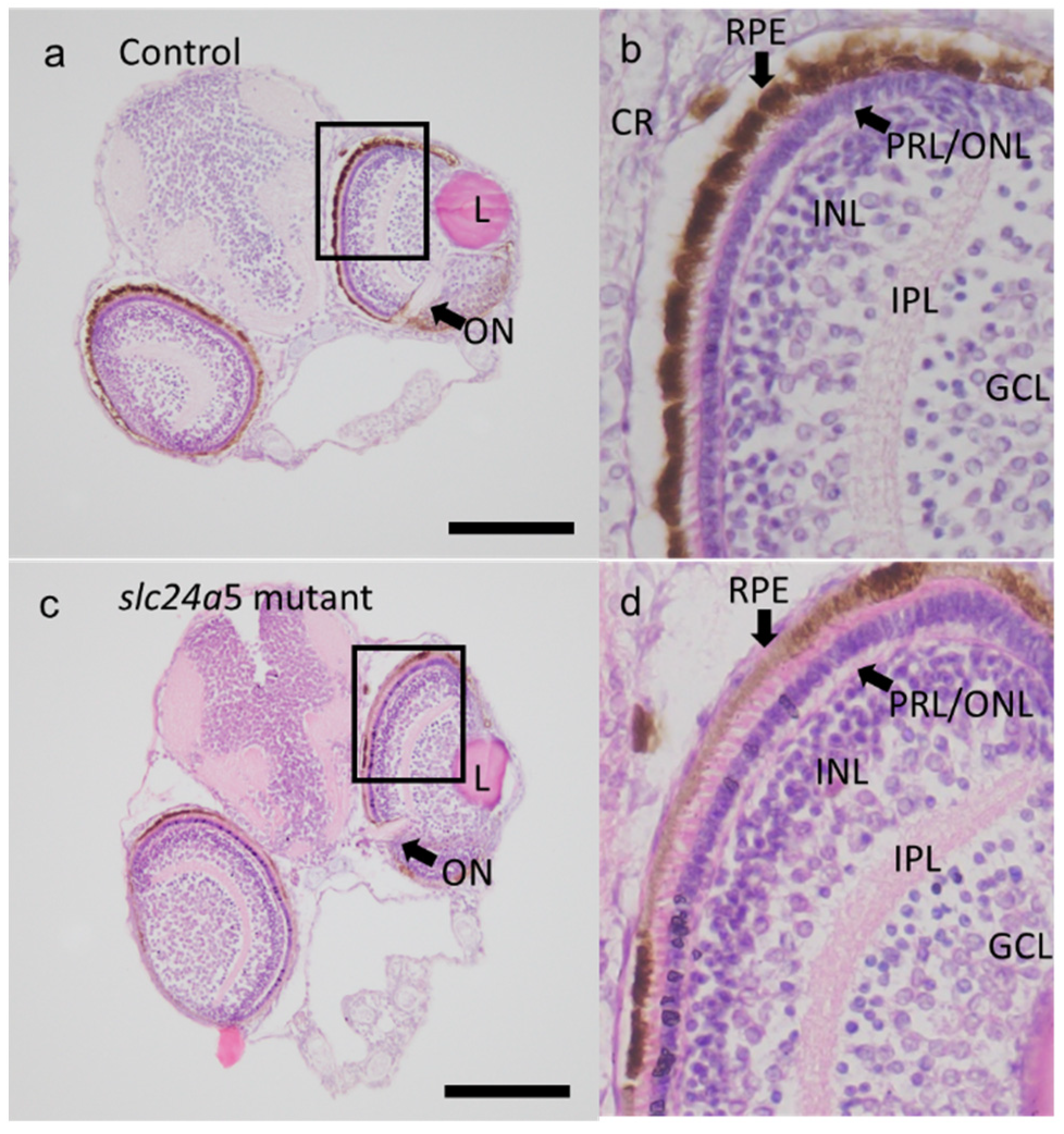 Jmse 09 01378 g006 550