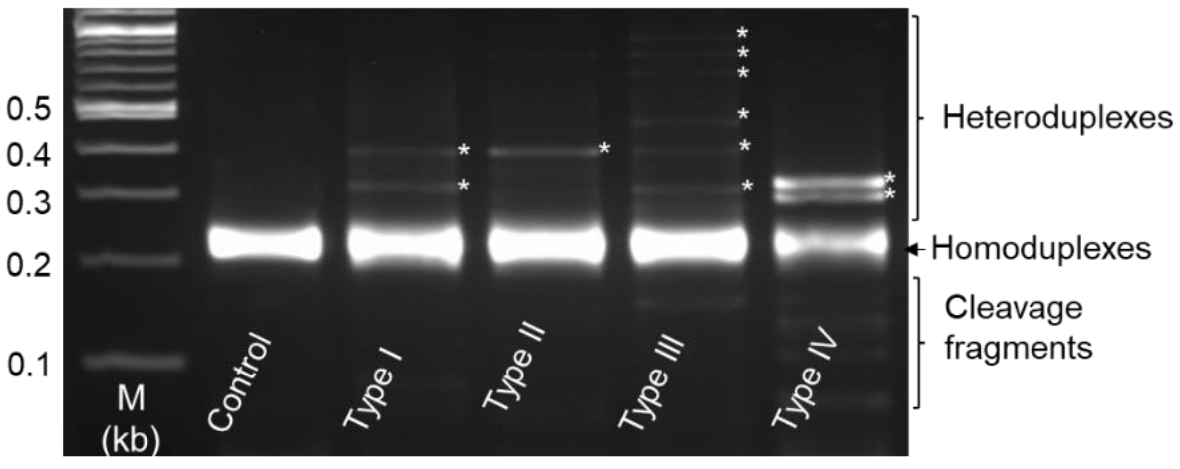 Jmse 09 01378 g008 550