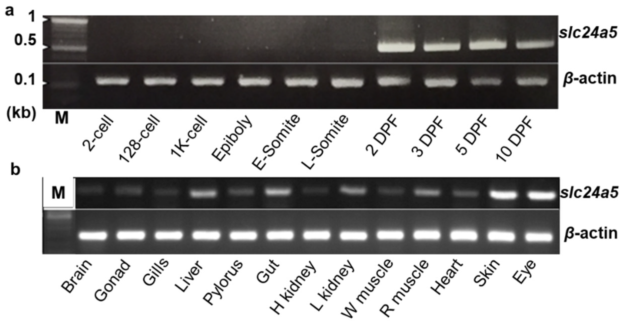 Jmse 09 01378 g009 550