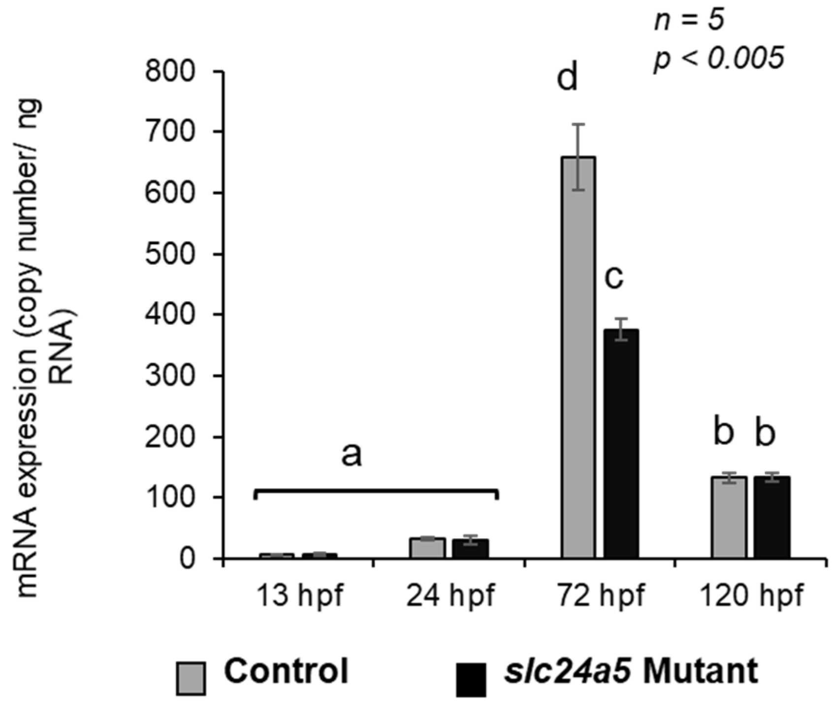 Jmse 09 01378 g010 550