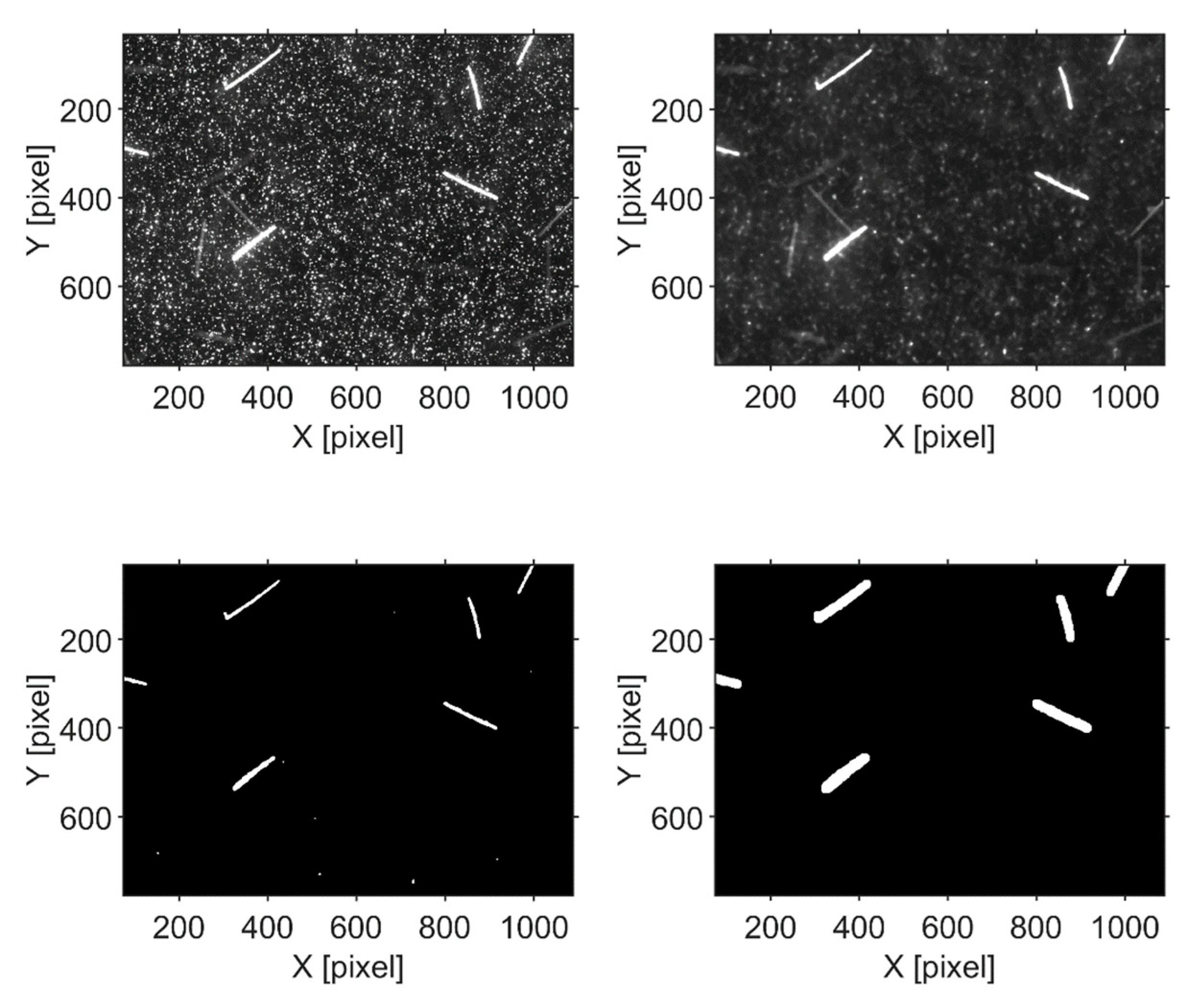 Jmse Free Full Text Flow Particle Coupling In A Channel Flow Laden With Elongated Particles The Role Of Aspect Ratio Html