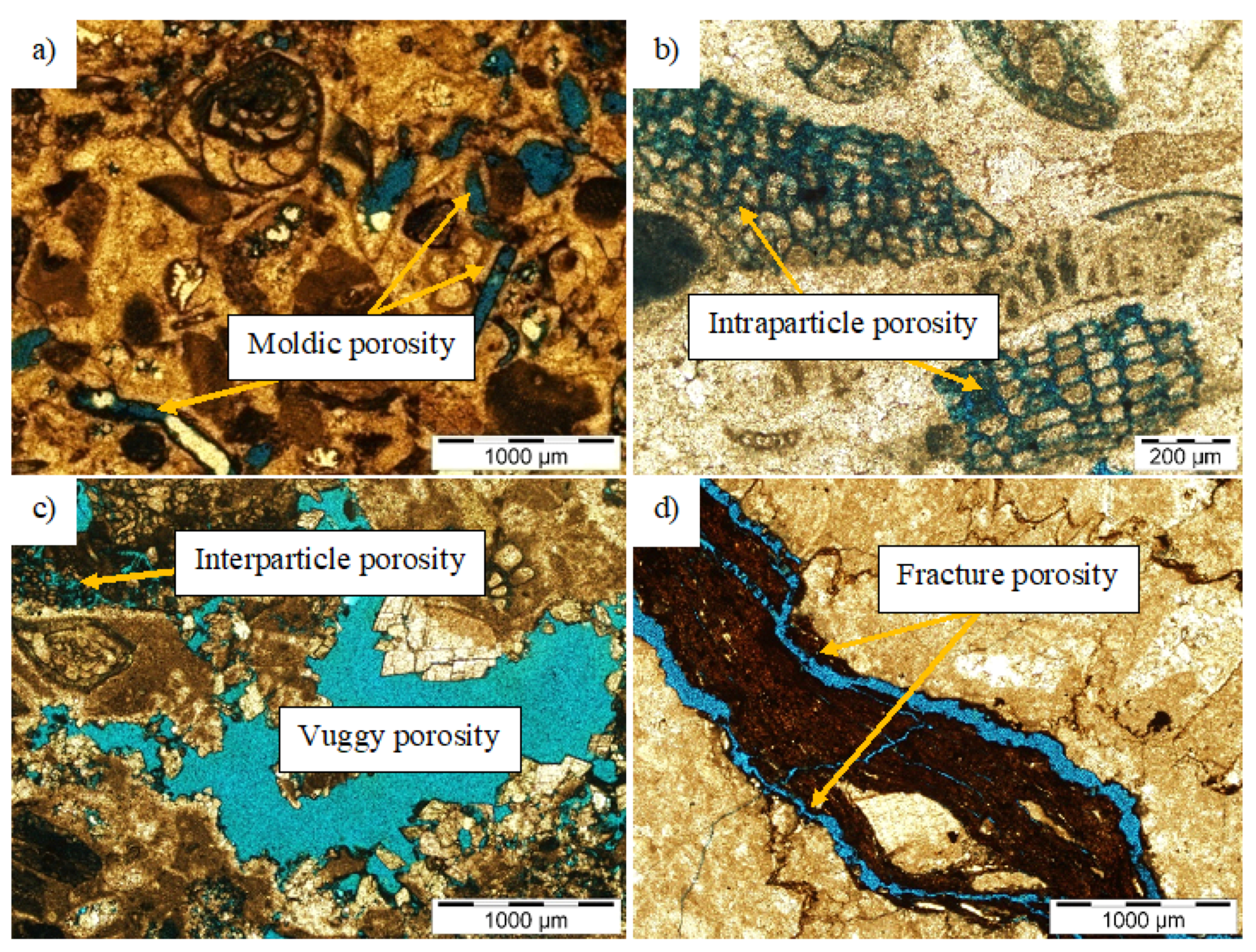 Jmse 09 01410 g009 550