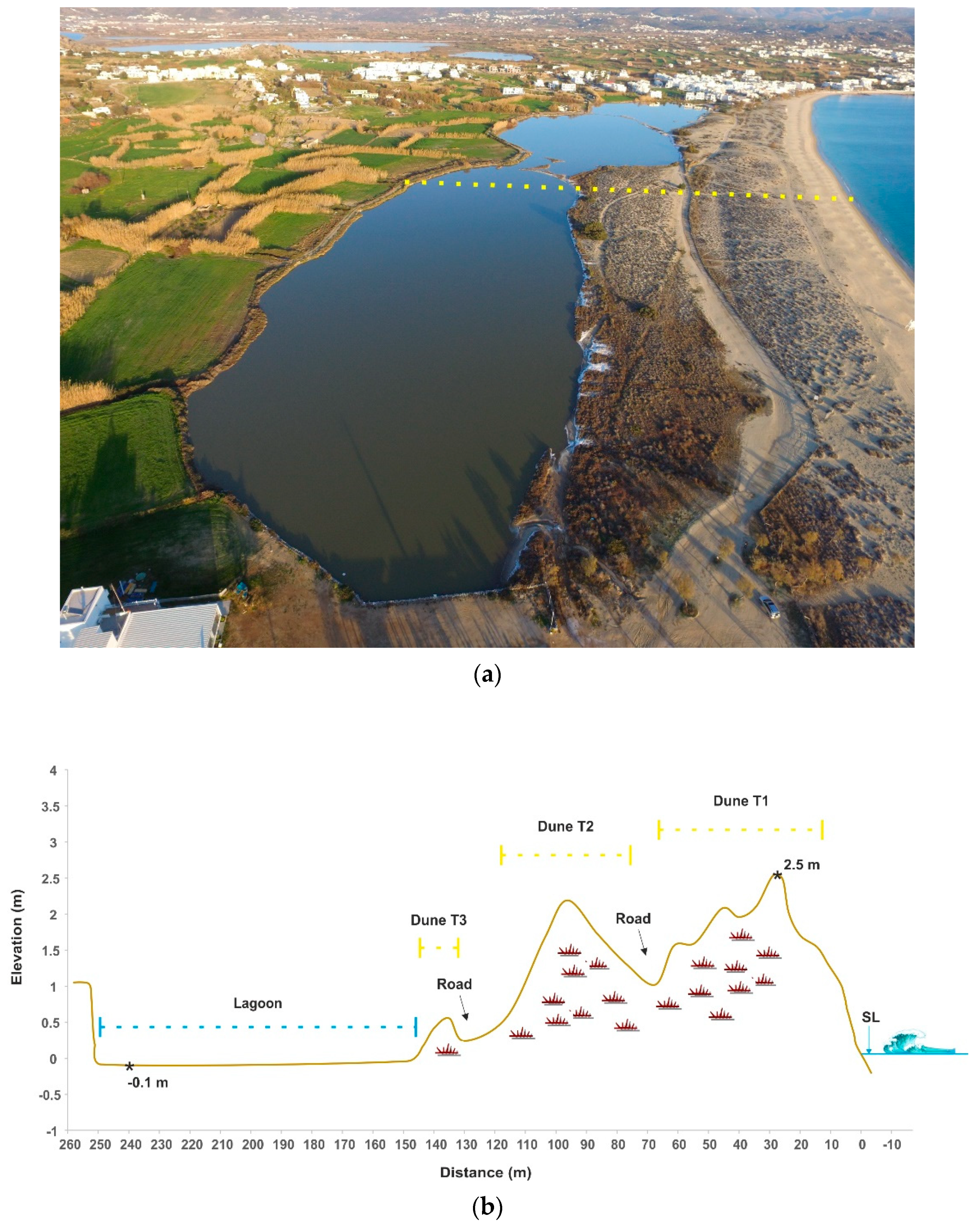 Jmse 09 01427 g005 550