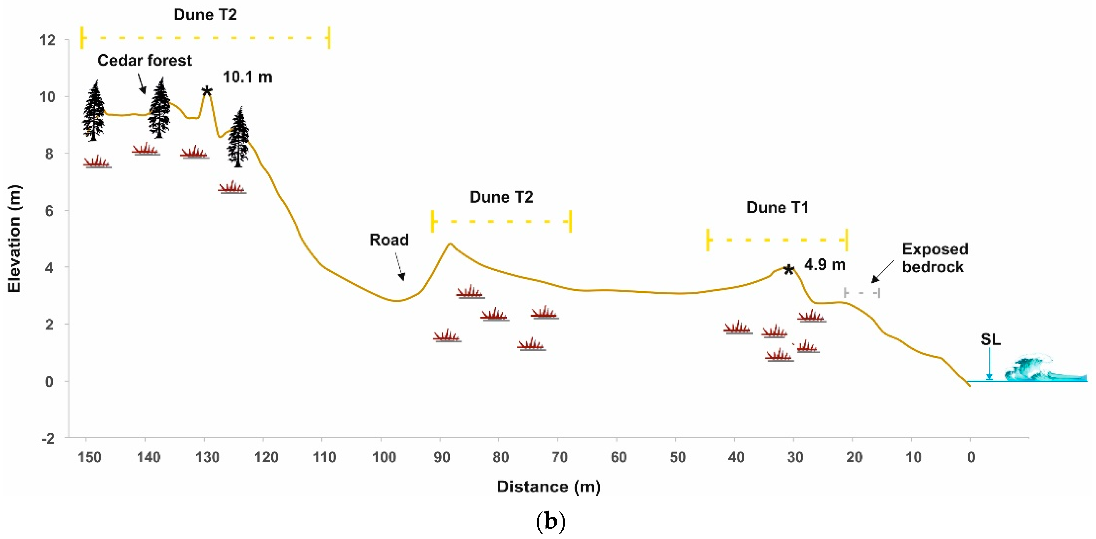 Jmse 09 01427 g009b 550