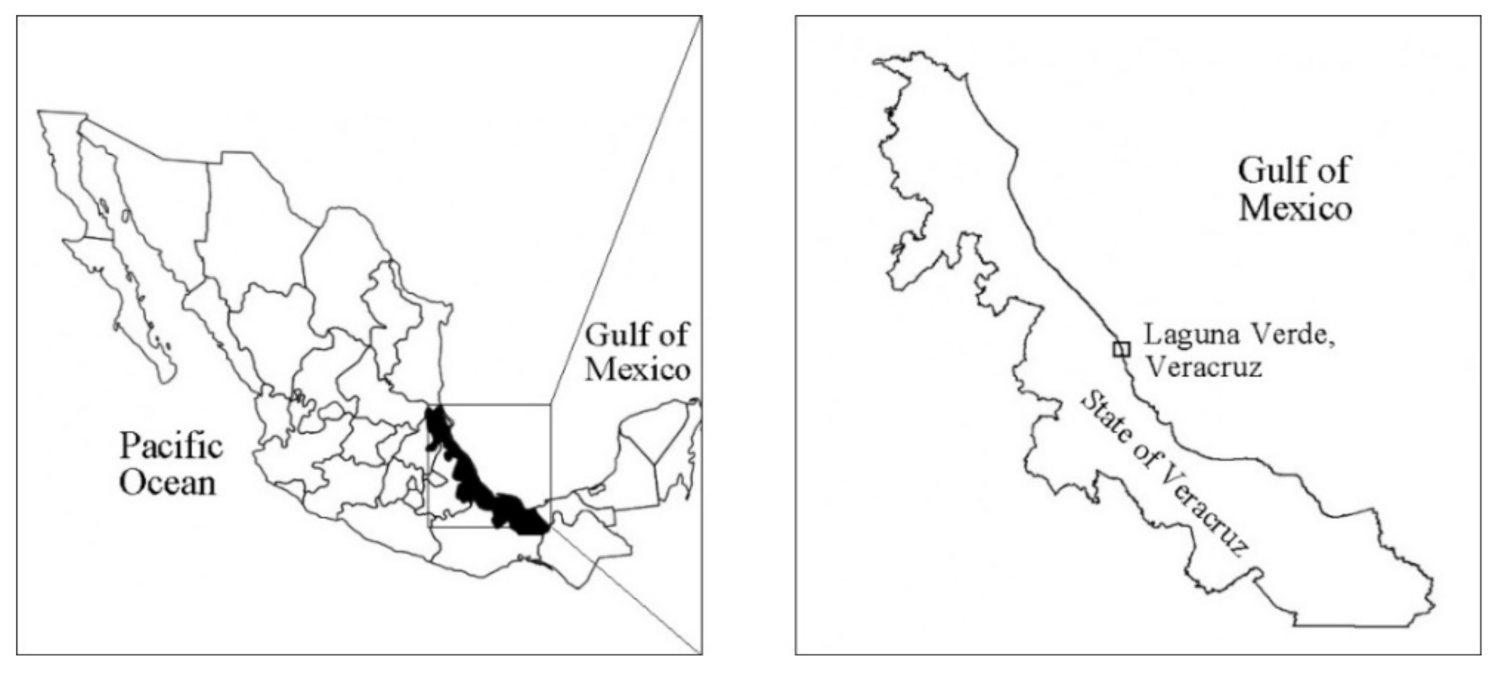 Jmse 09 01437 g001 550